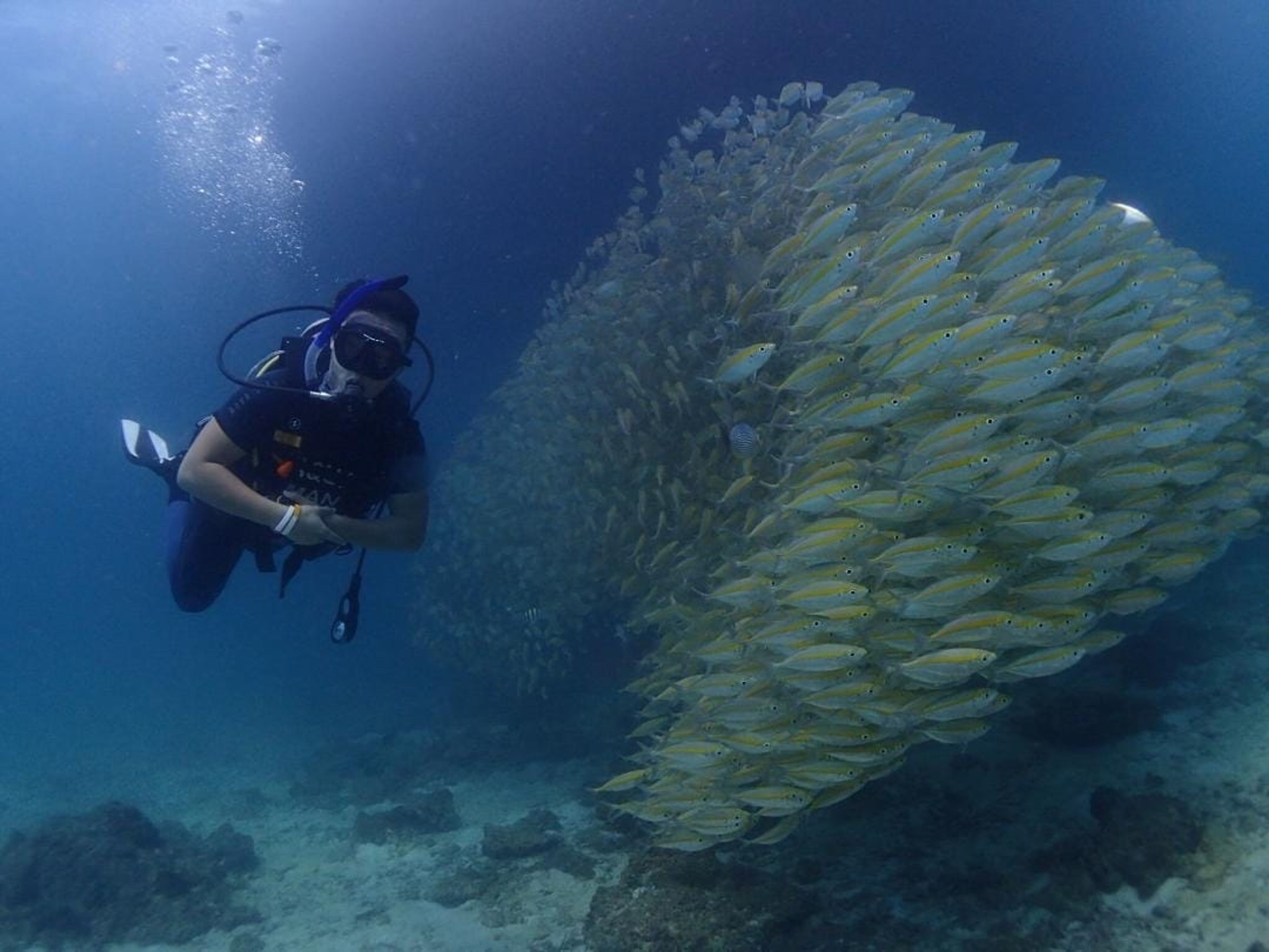 Scuba diving at Siam Bay, Racha Yai