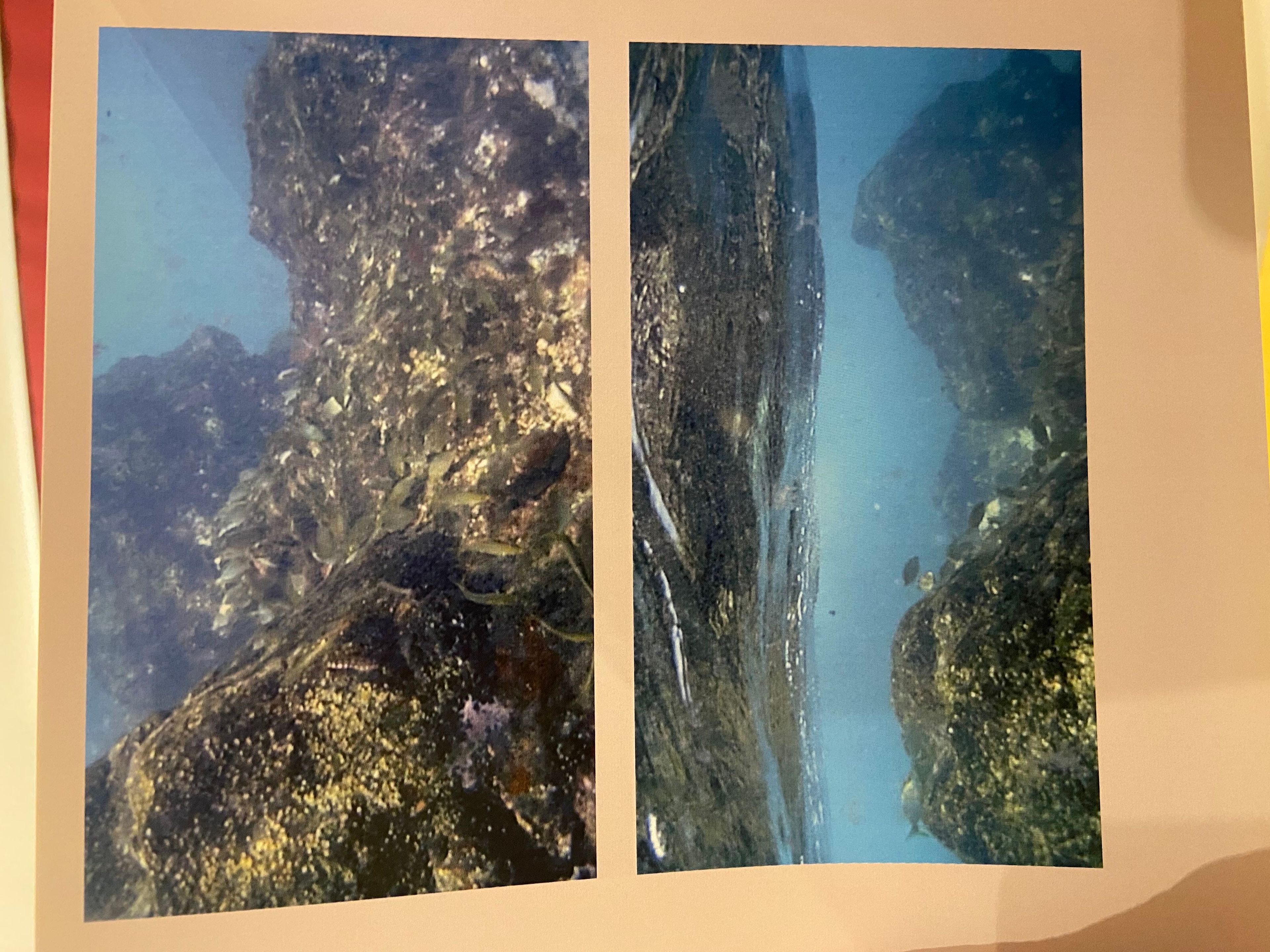 Scuba diving at Radazul - La Cruz