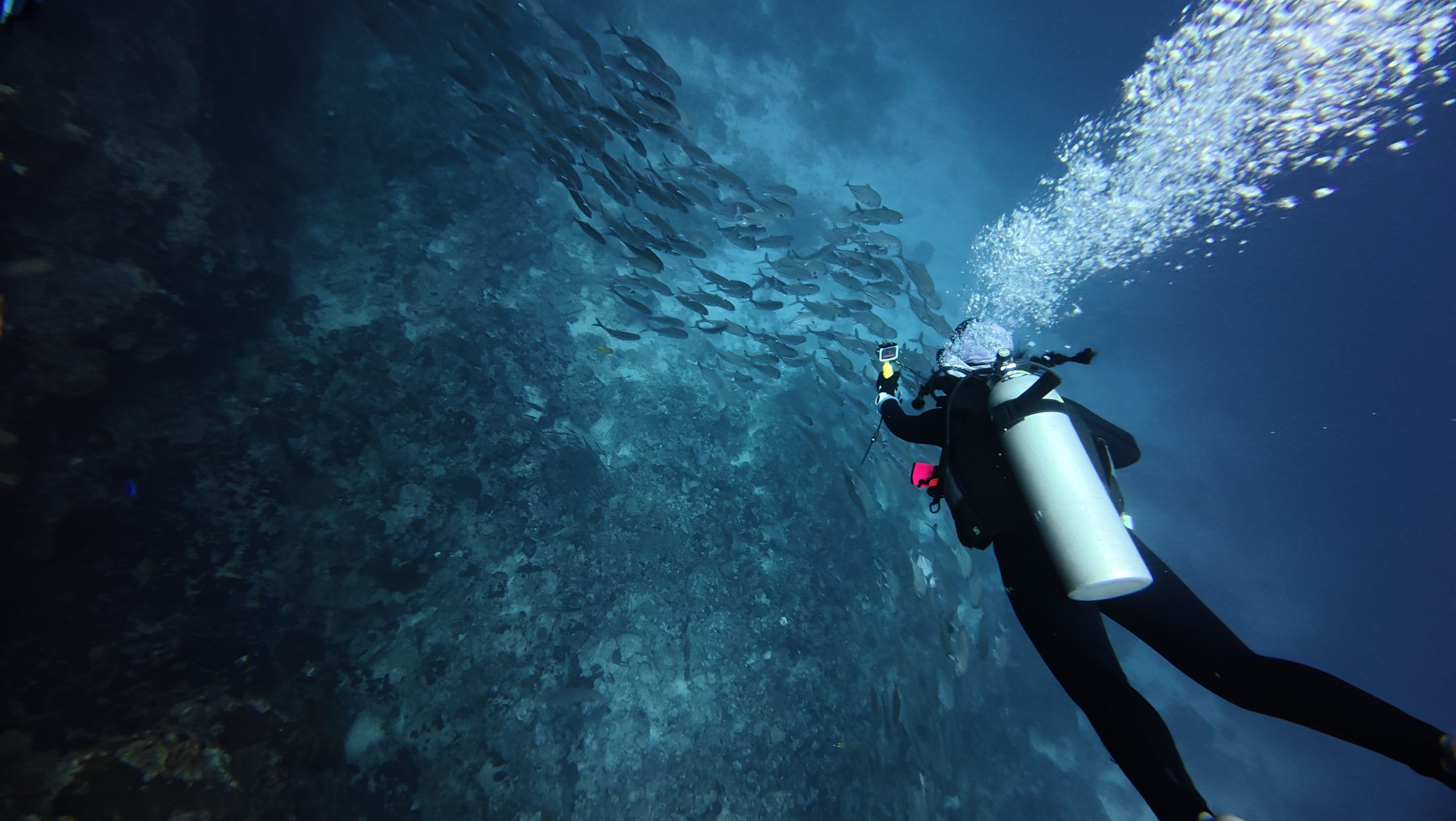 Zixiong Guo's dive log