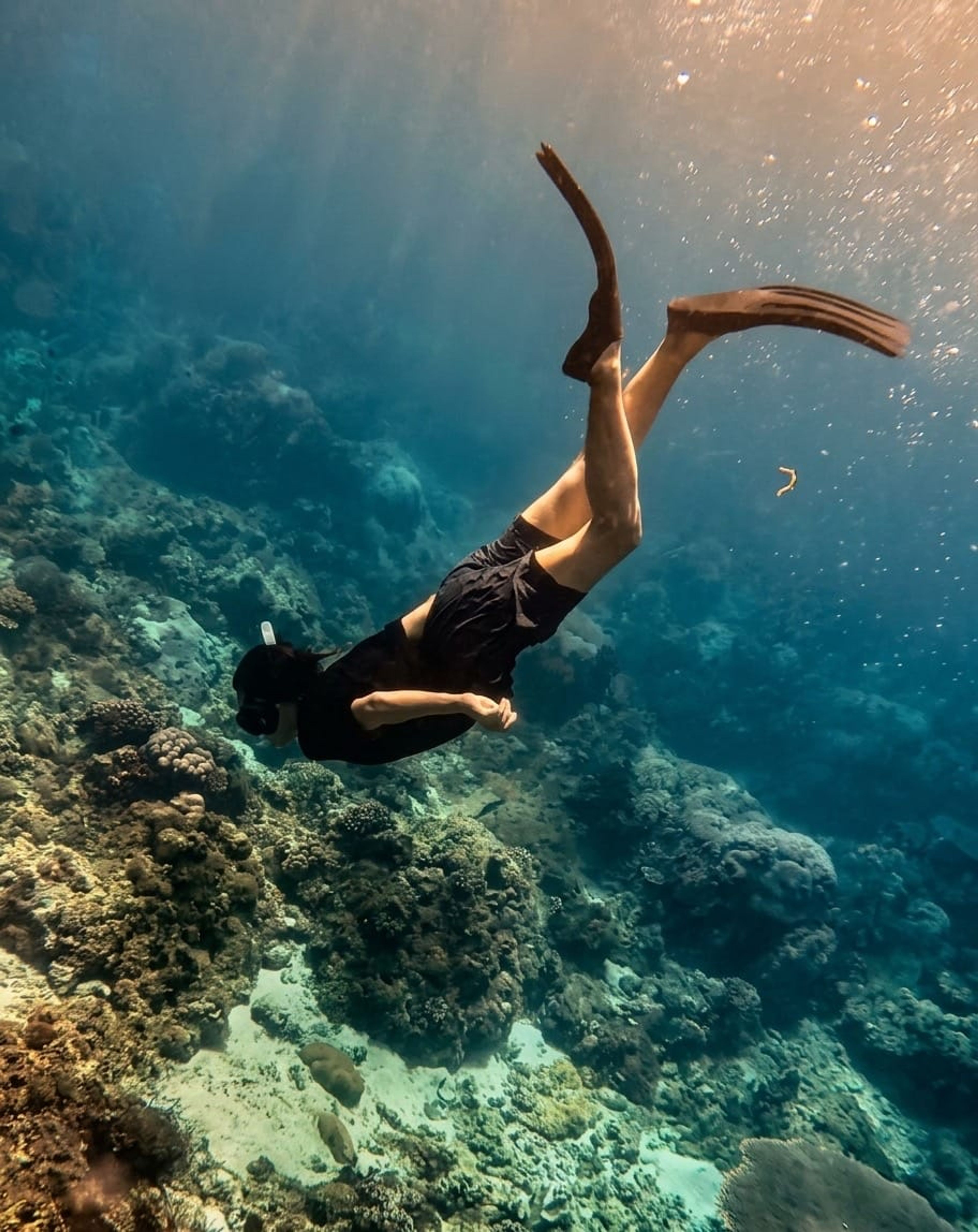 Freediving L1 Training