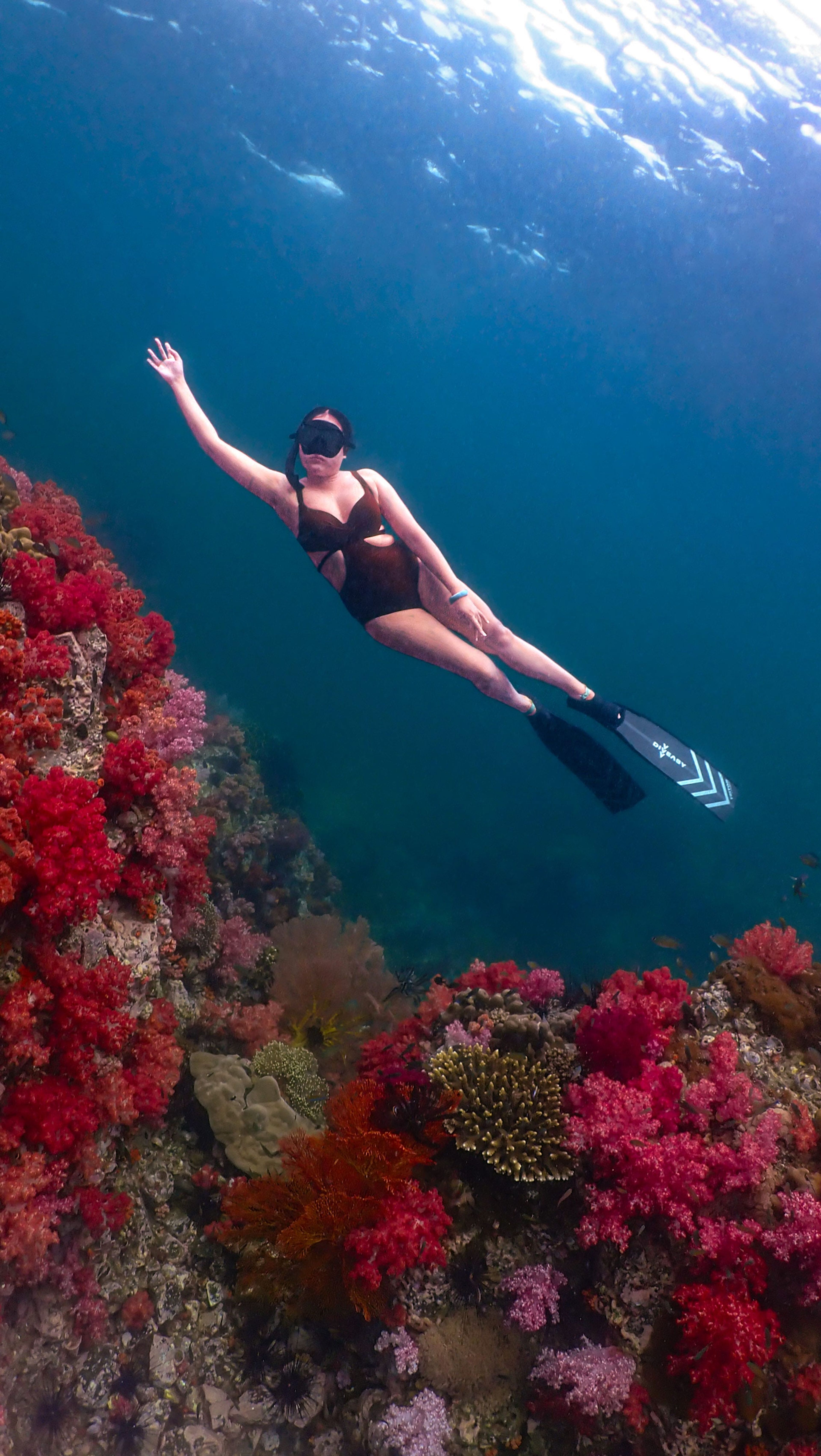 Guide Unn Photographer's dive log