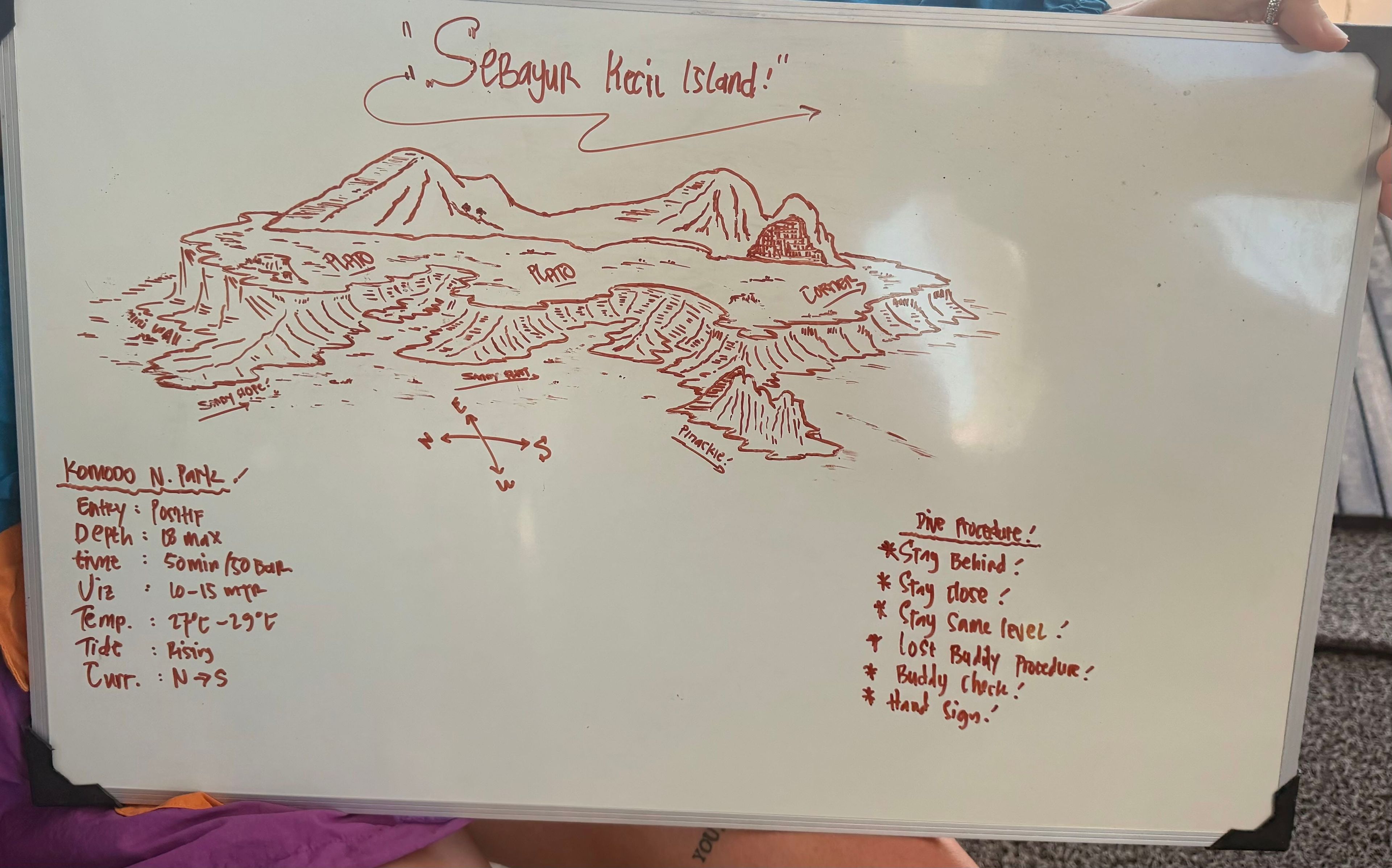 Sébastien delbecque's dive log