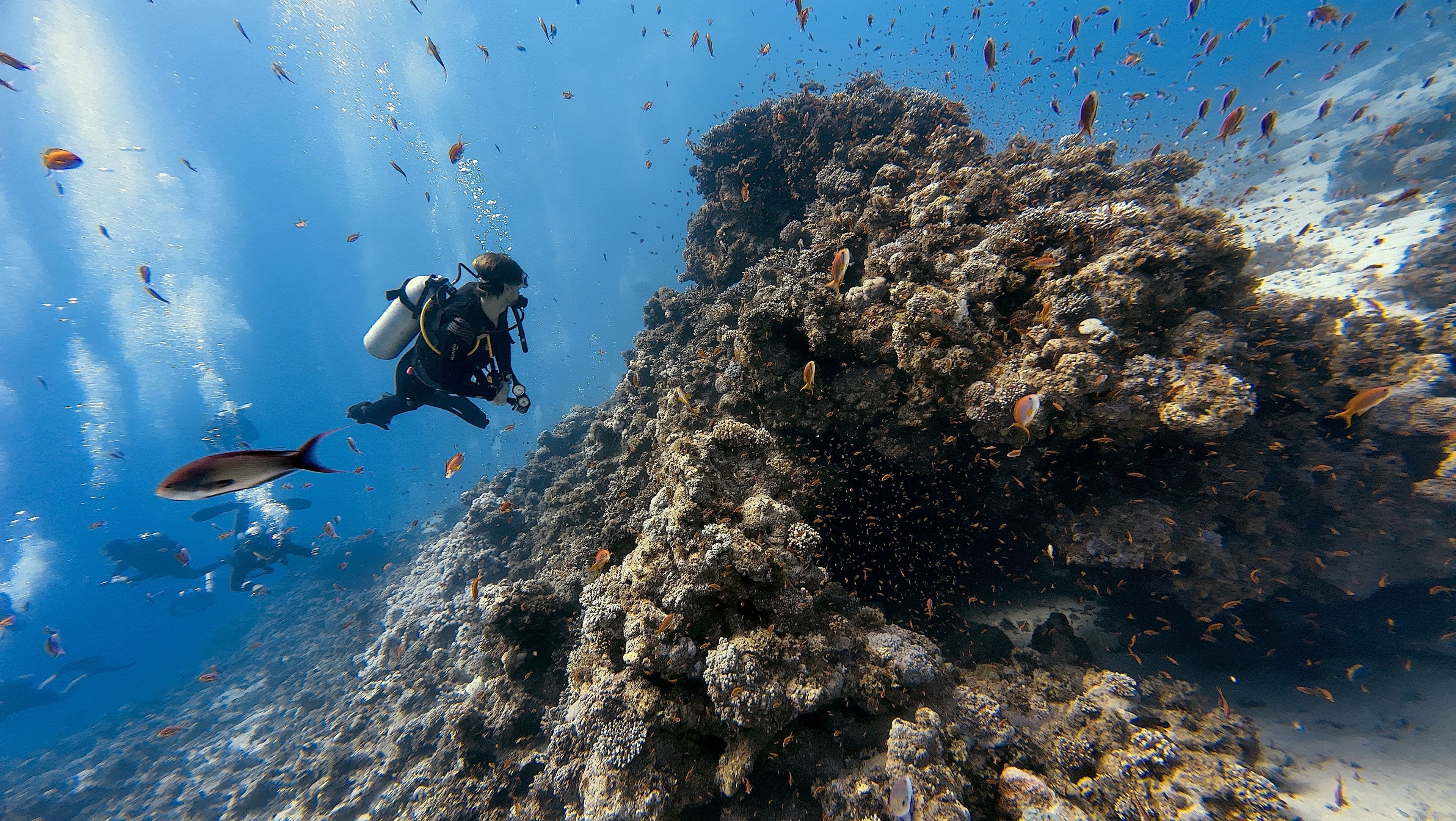 Yolanda reef drift drive