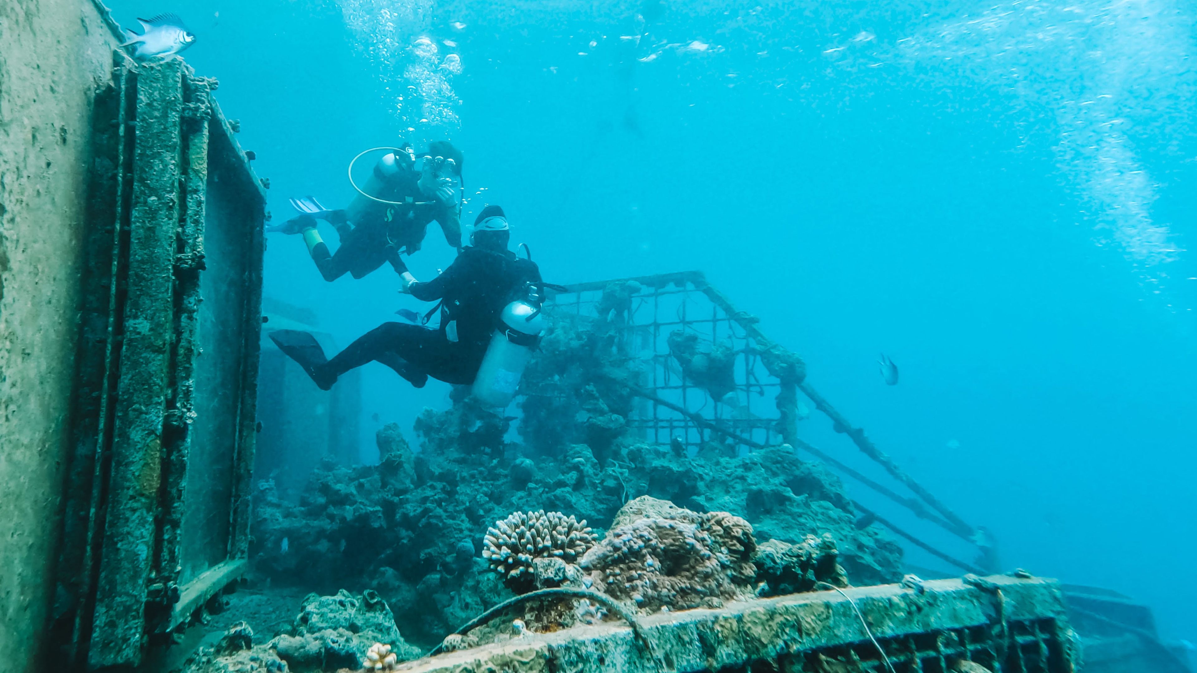 Intro dive with the boys
