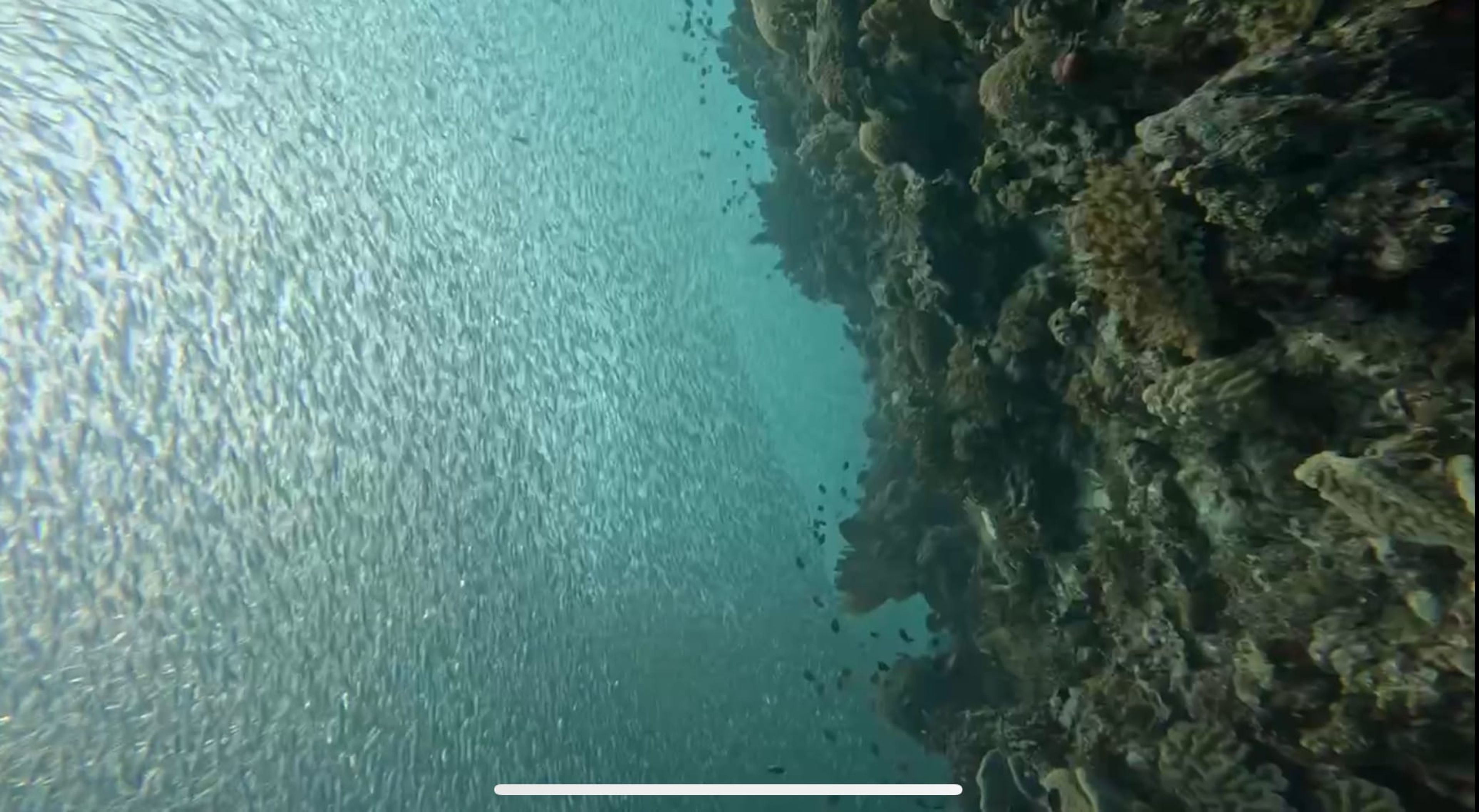 Panglao 單氣體潛水