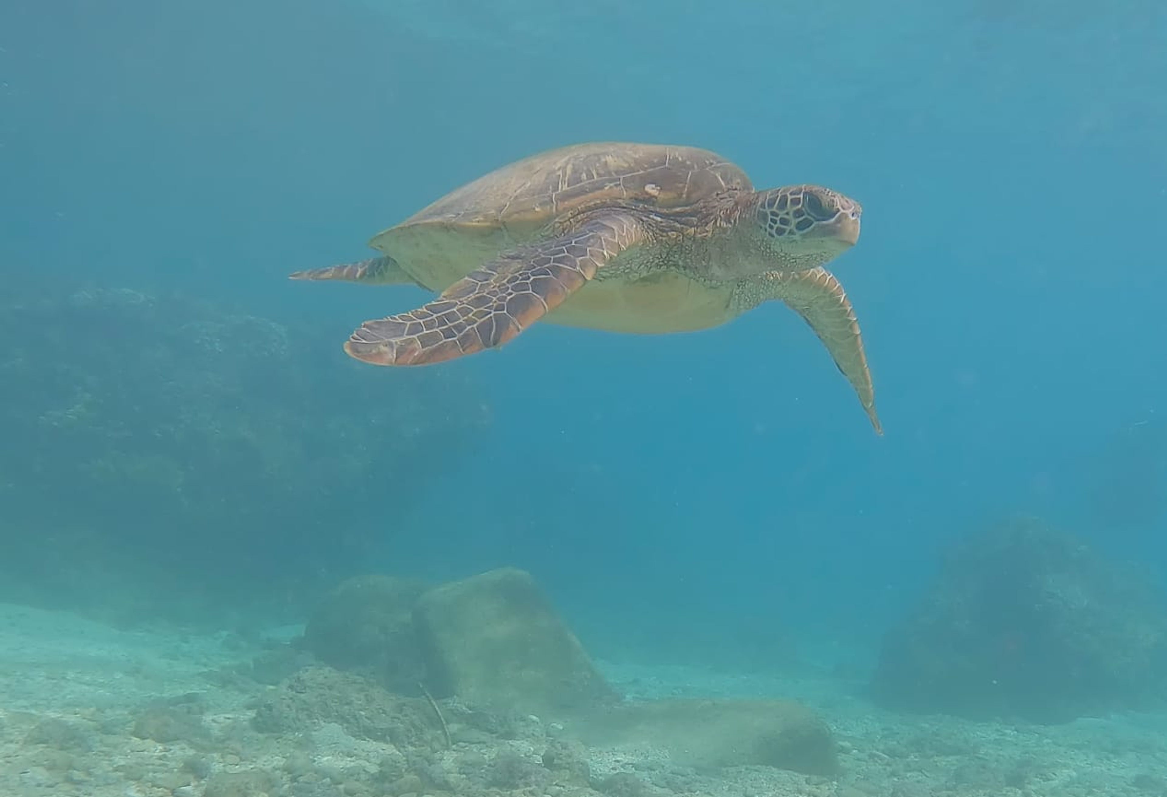 Scuba diving at 小琉球