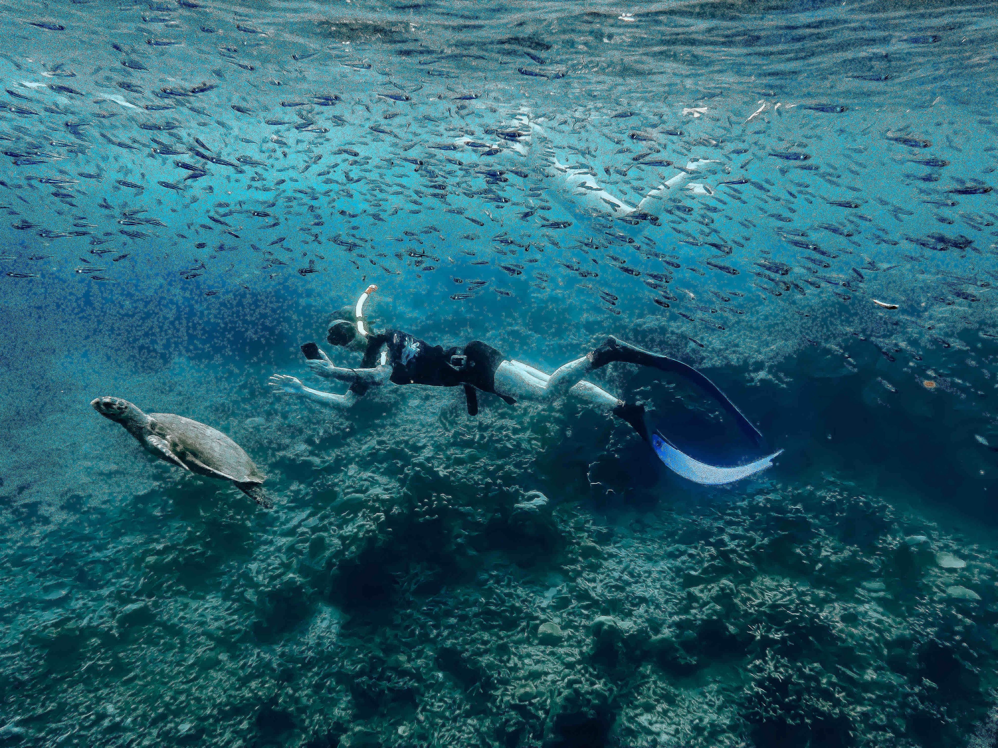 Freediving at Siete Picados