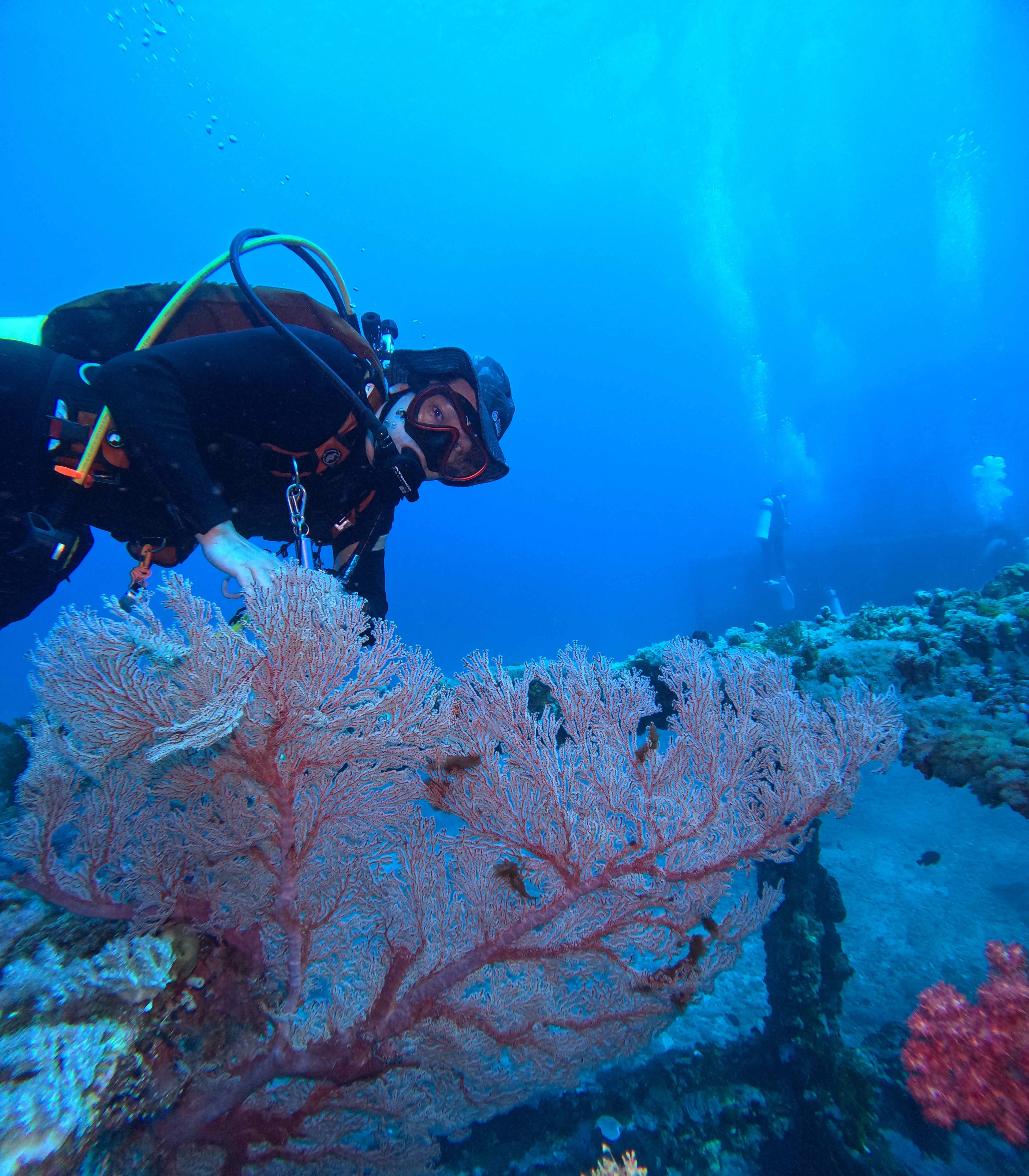 Oceanic+