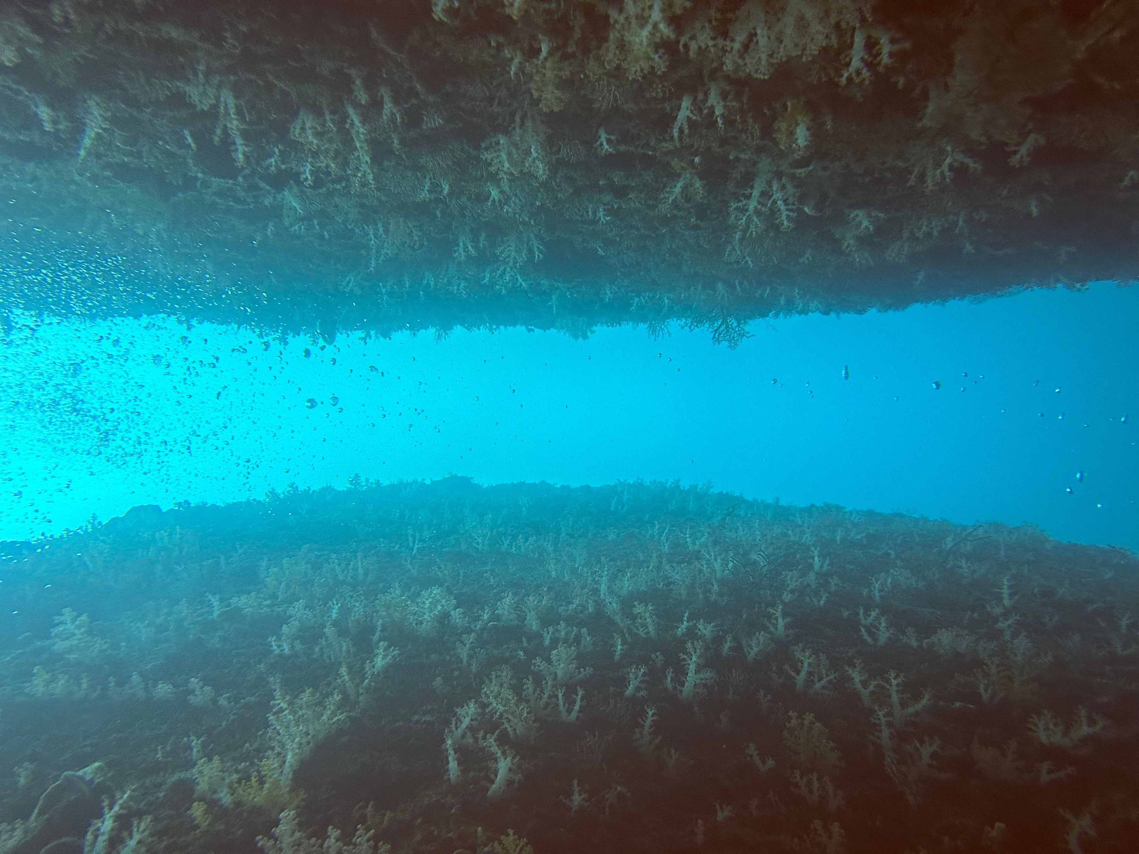 Oceanic+