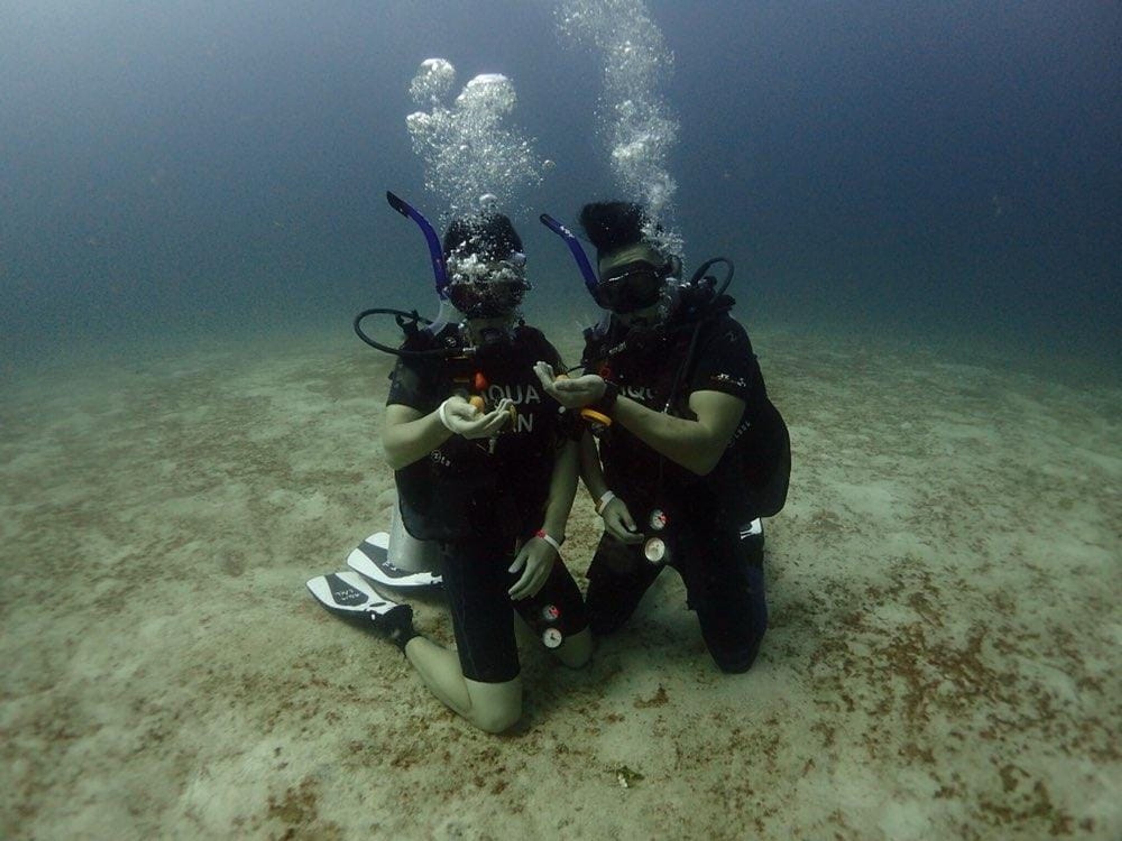 Scuba diving at Siam Bay, Racha Yai