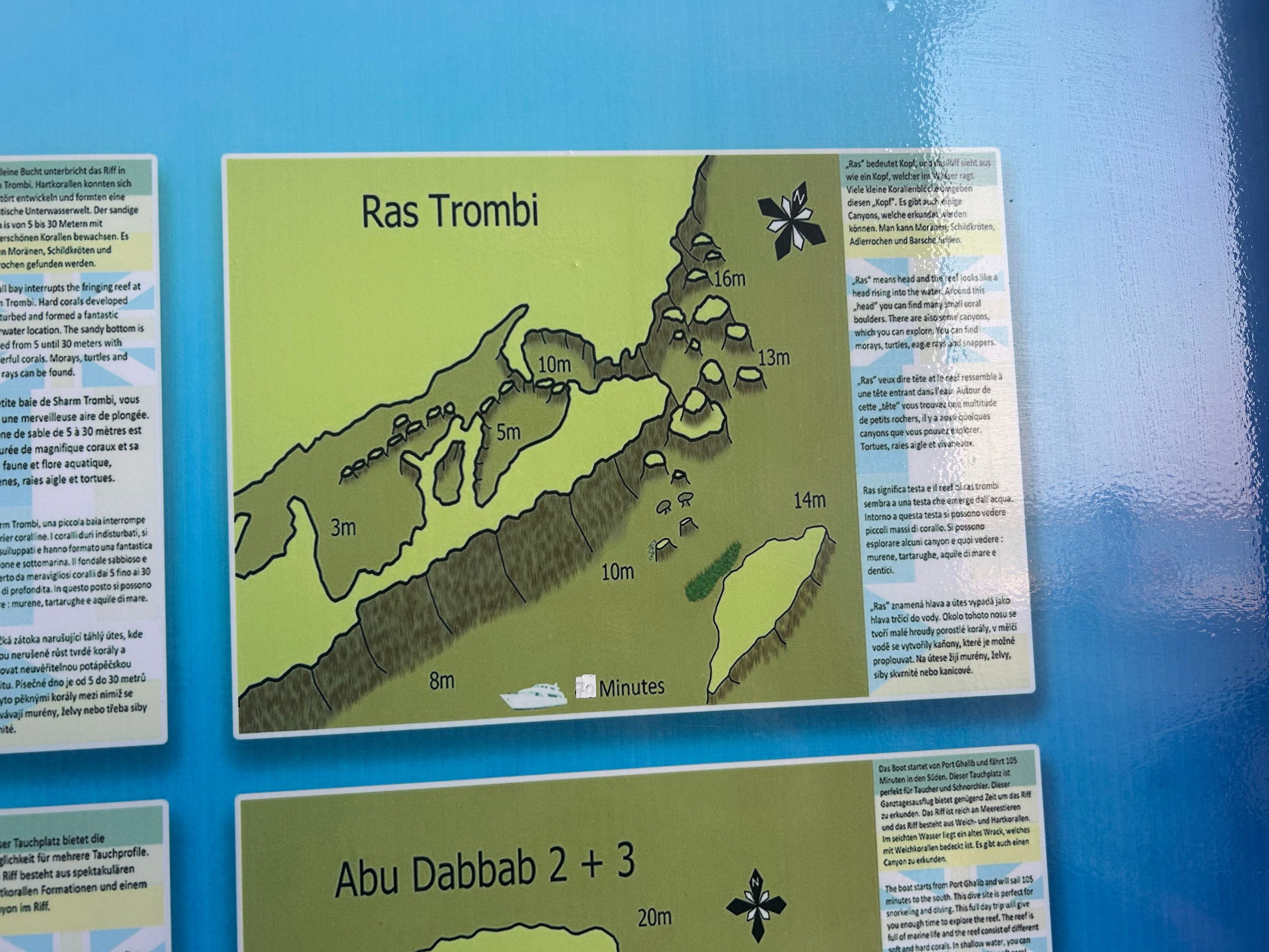 Sharm Trombi