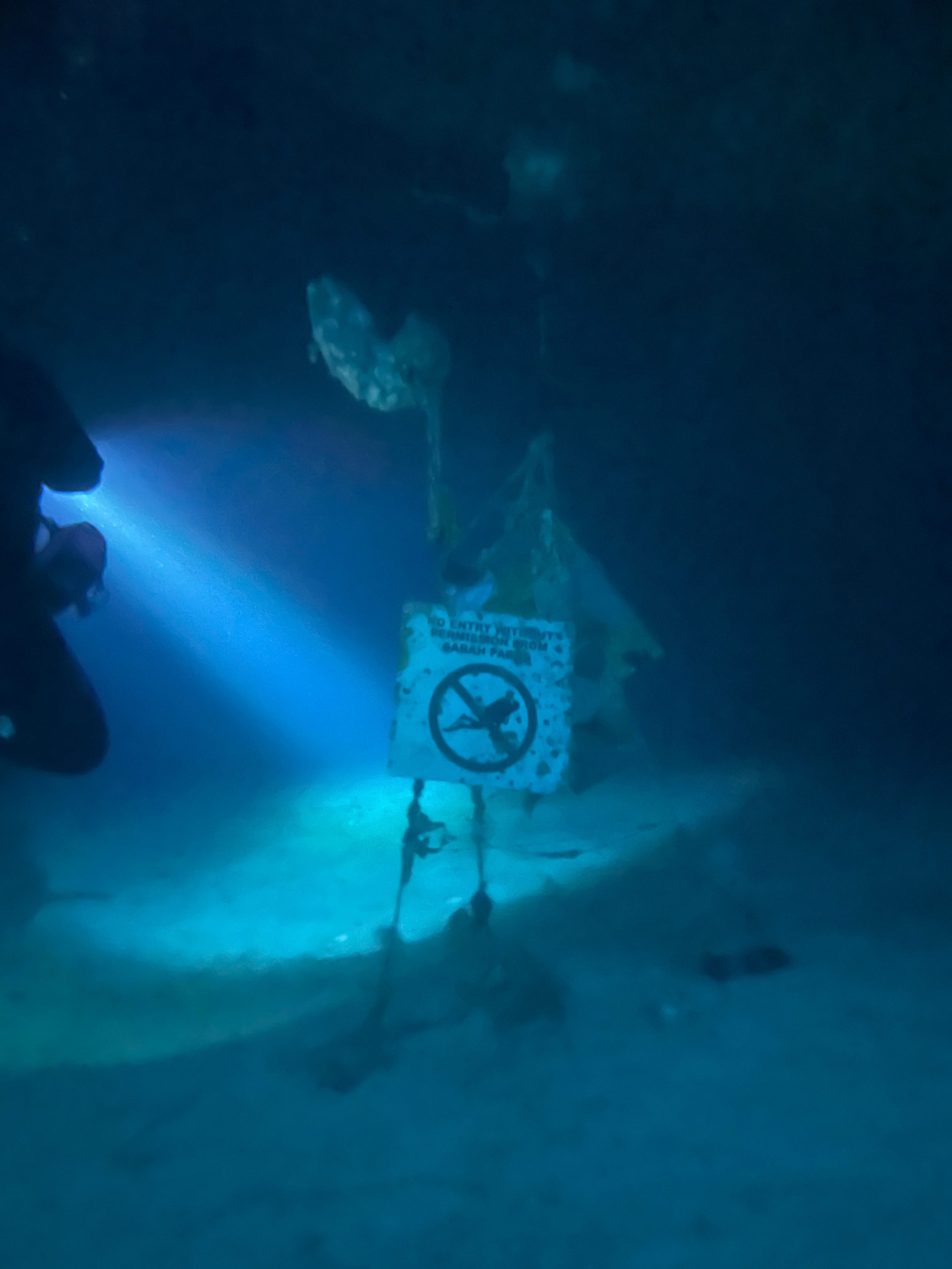 Oceanic+