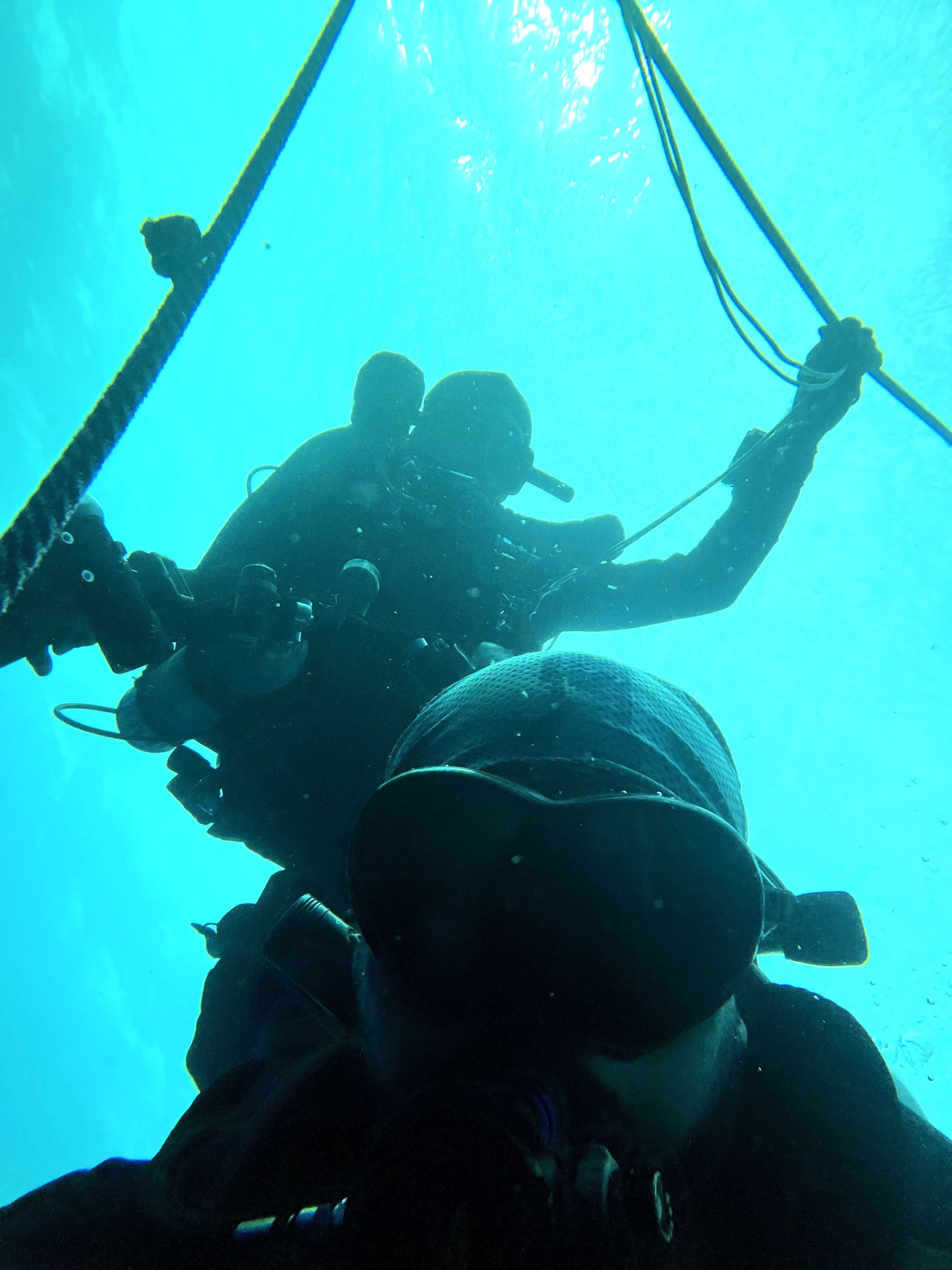 Spot Diving's dive log