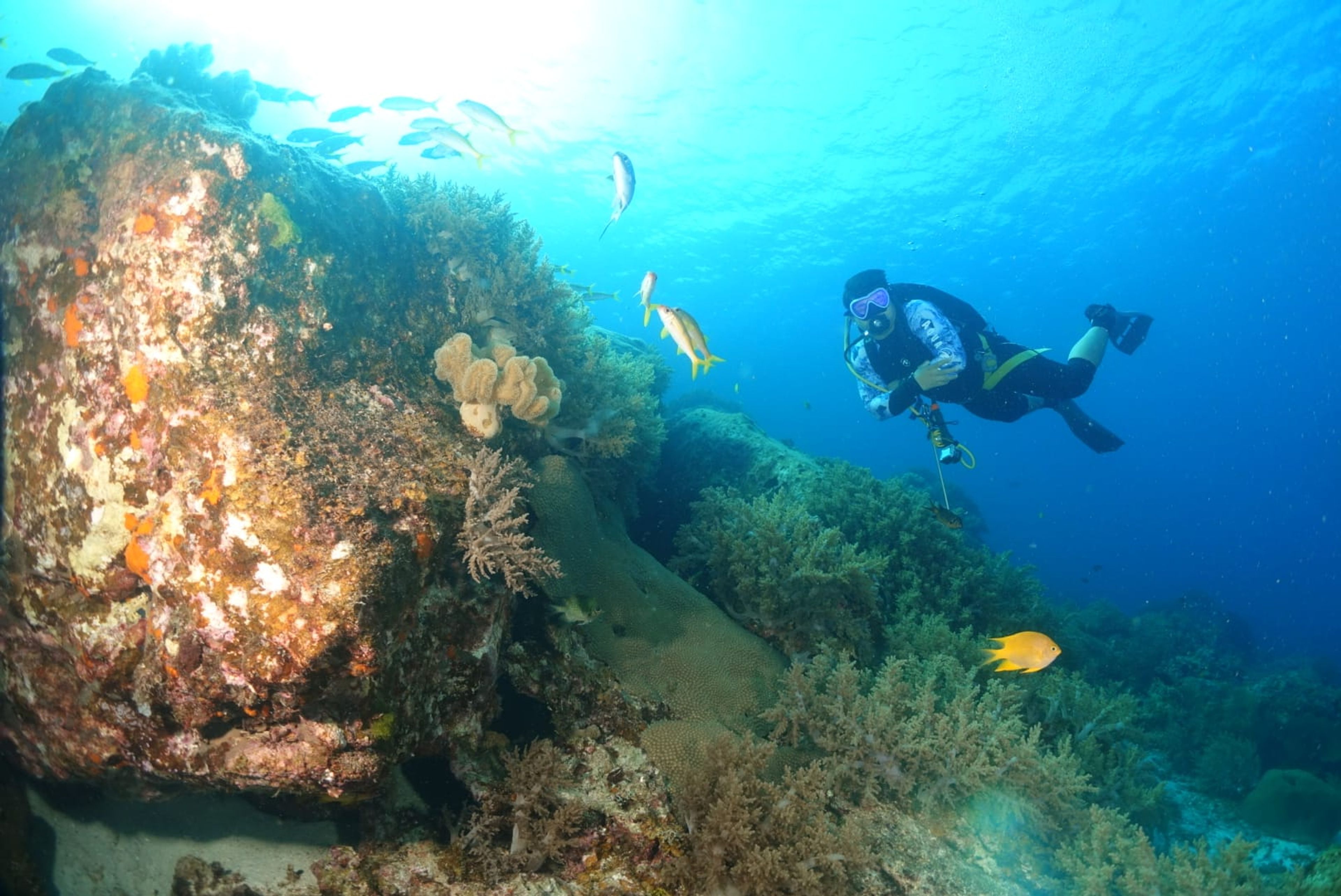 KON CHANNEL's dive log
