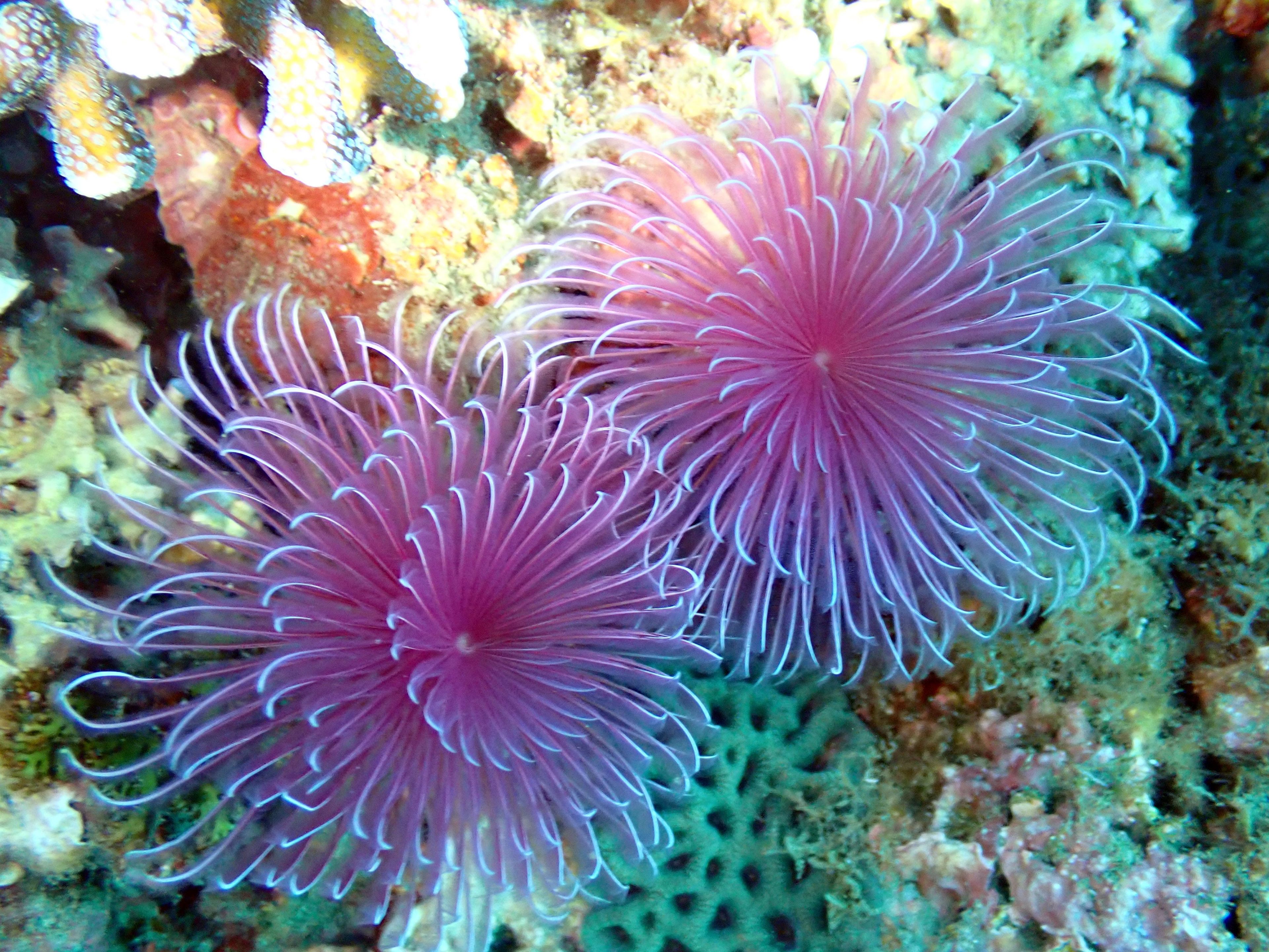 潮境公園