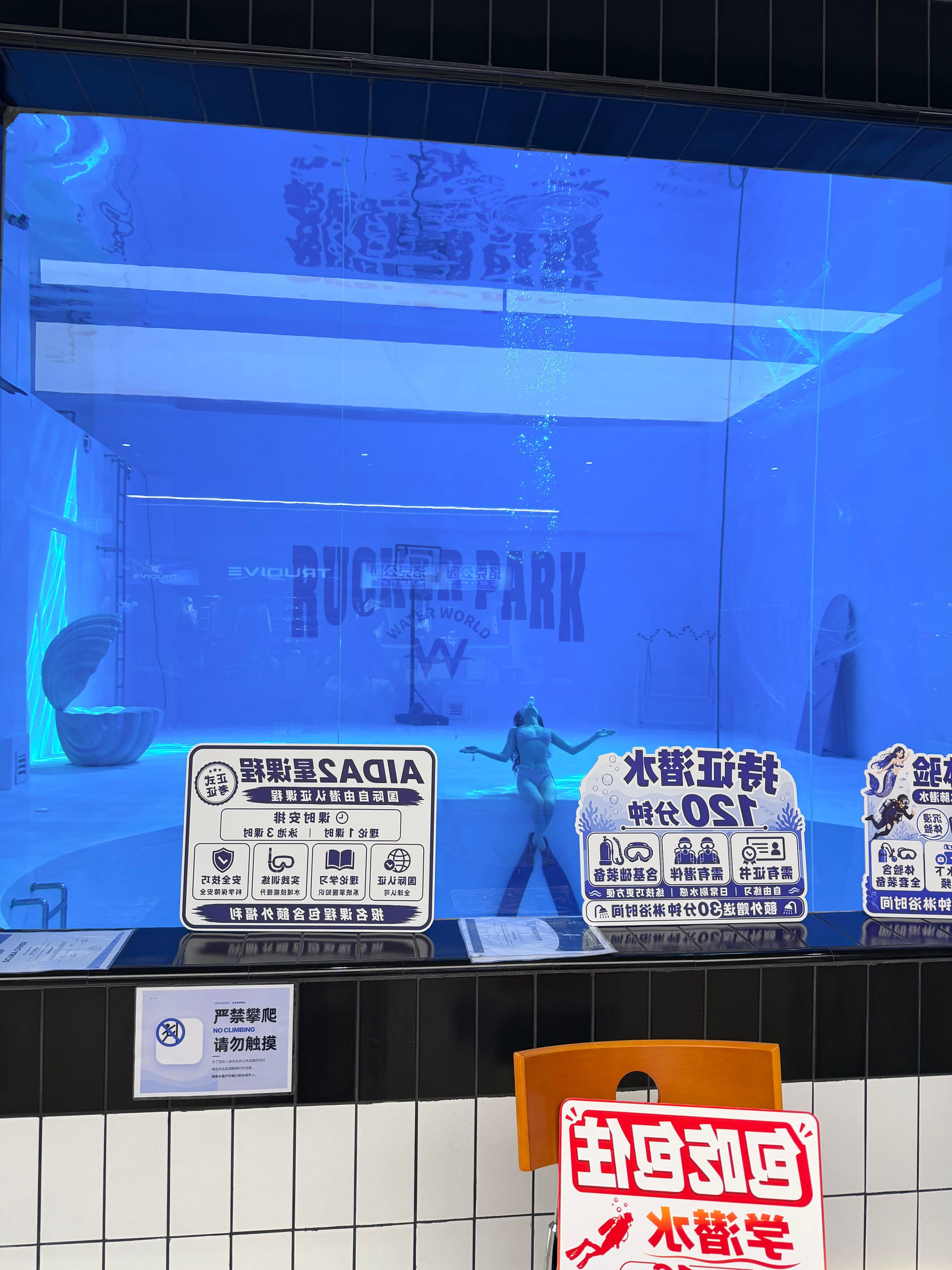 Scuba diving at 青浦洛克