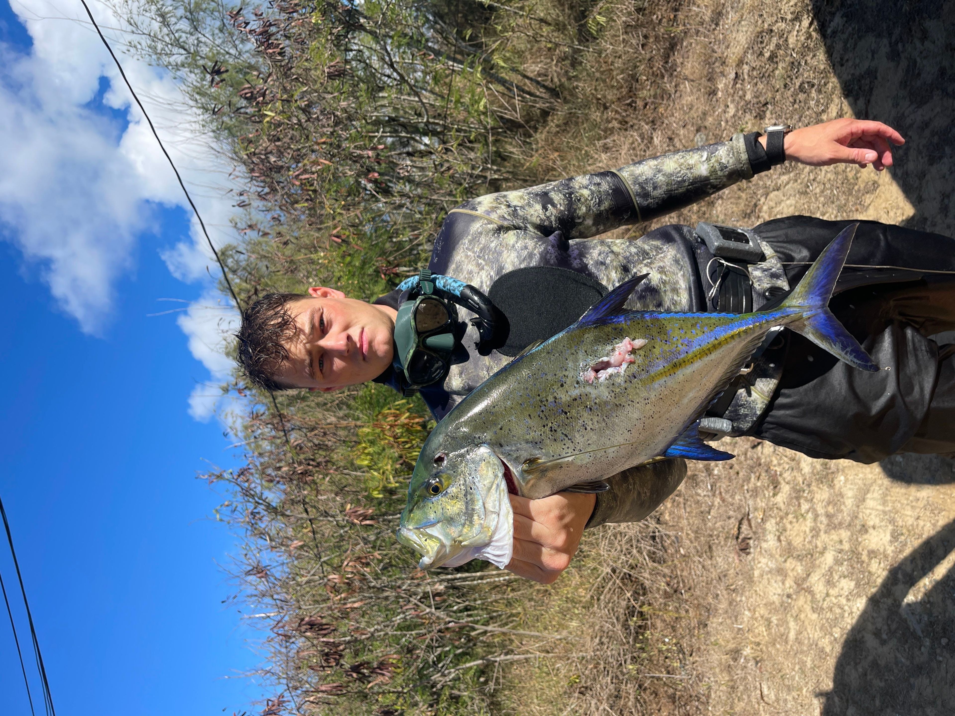 Ethan Falconer's dive log