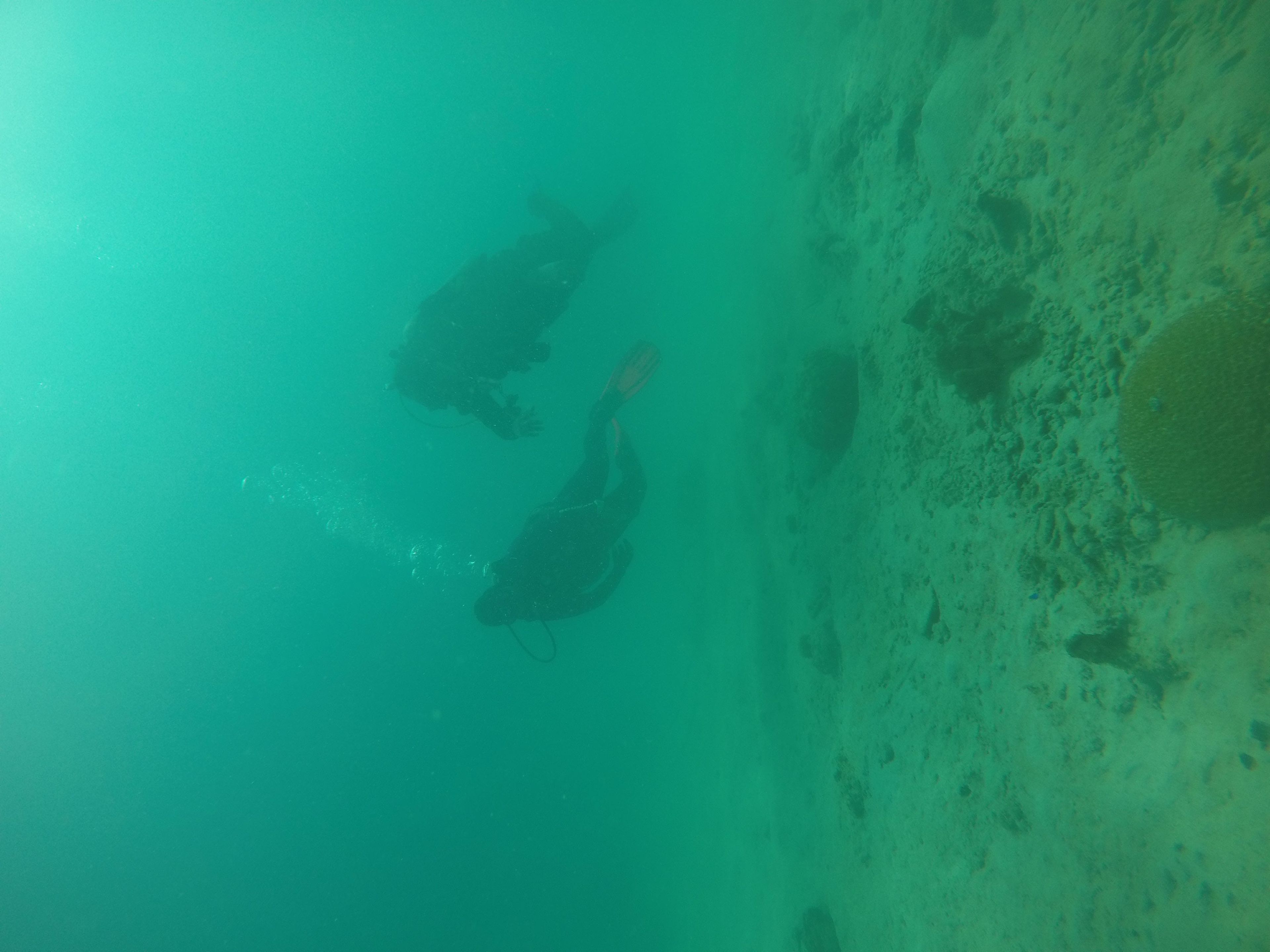 Oceanic+