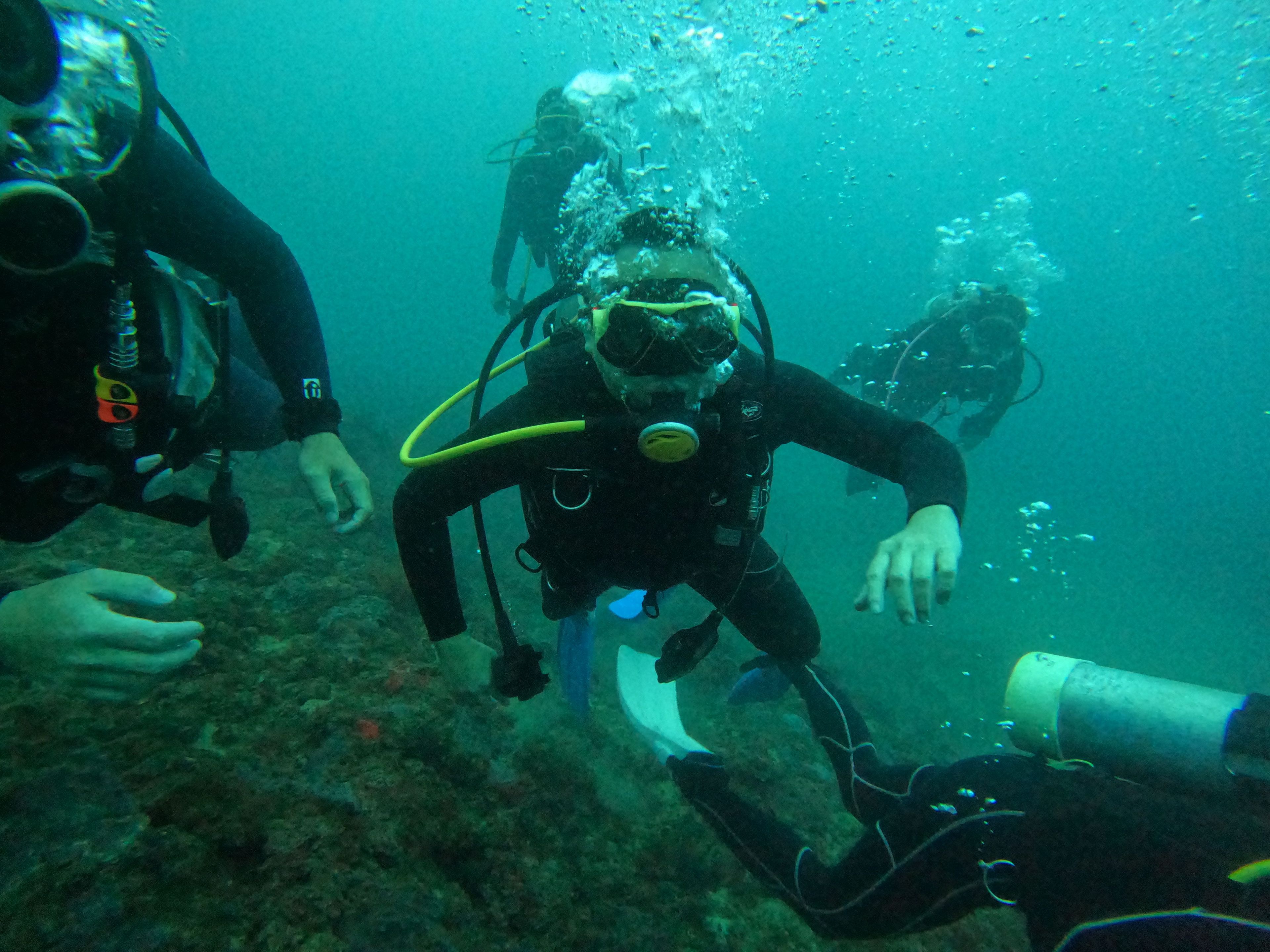 Scuba diving at 龍洞灣4號潛點-和美國小