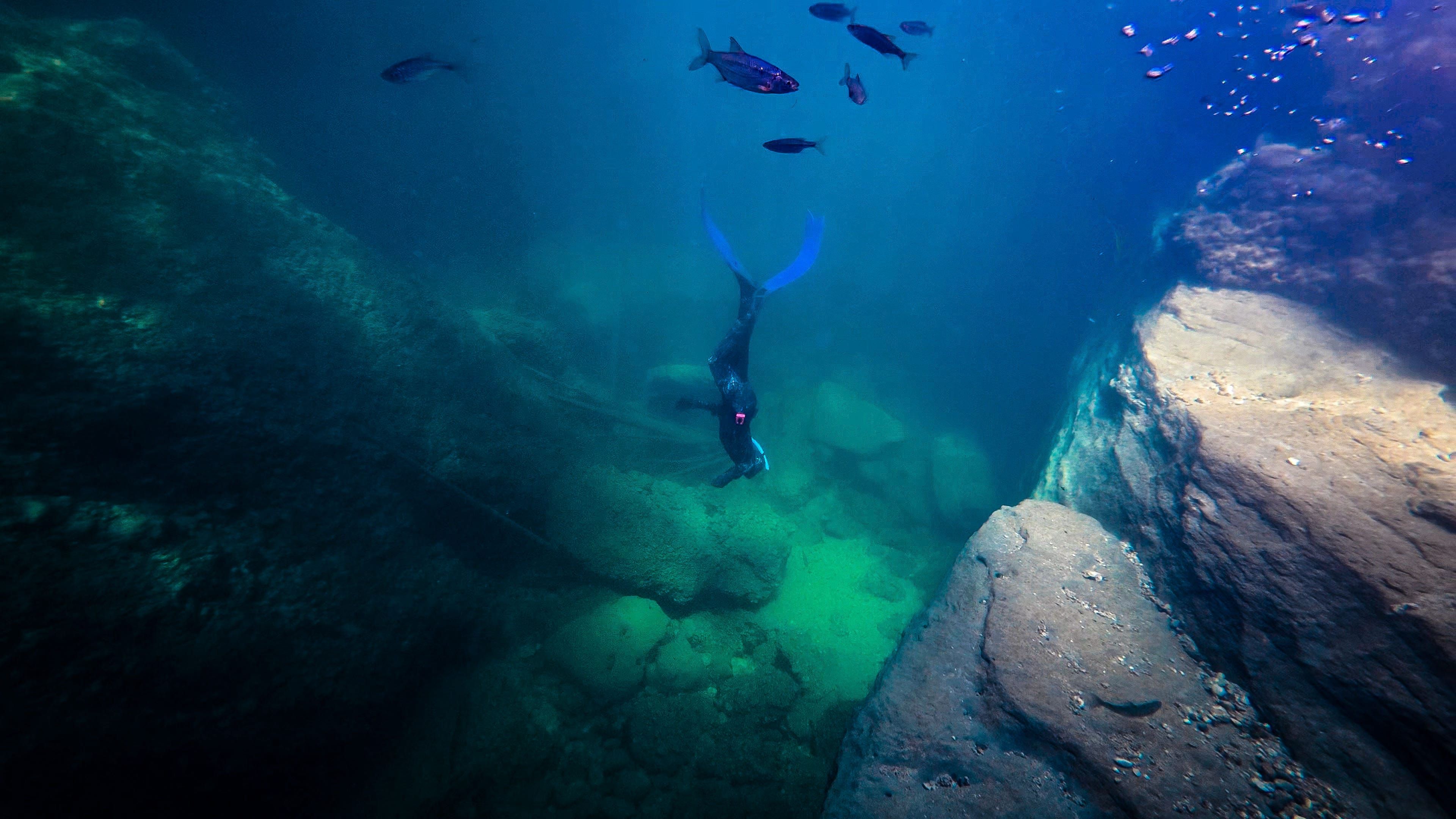 Sasa Kralovanska's dive log