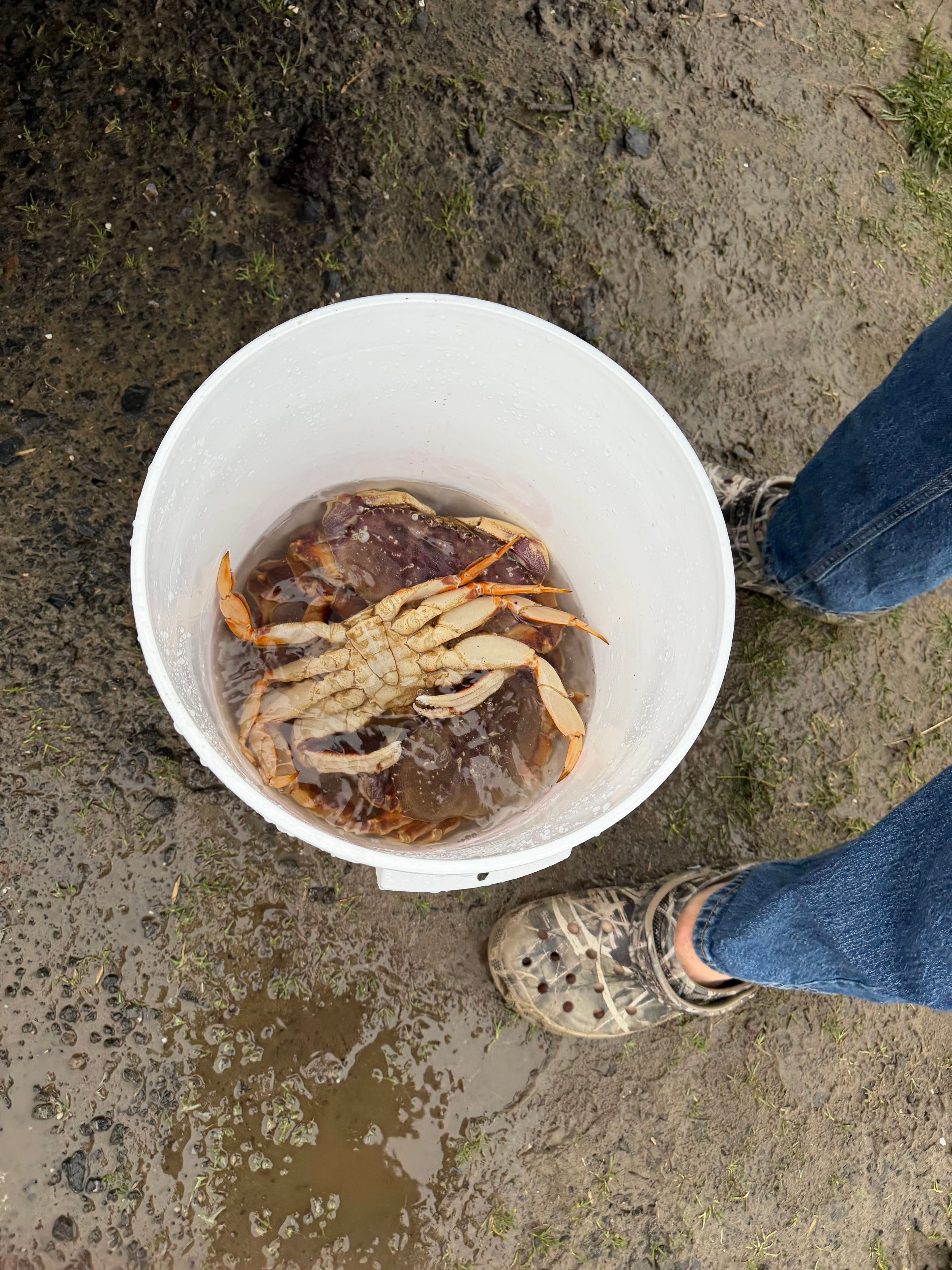 Multi-Gas Dive