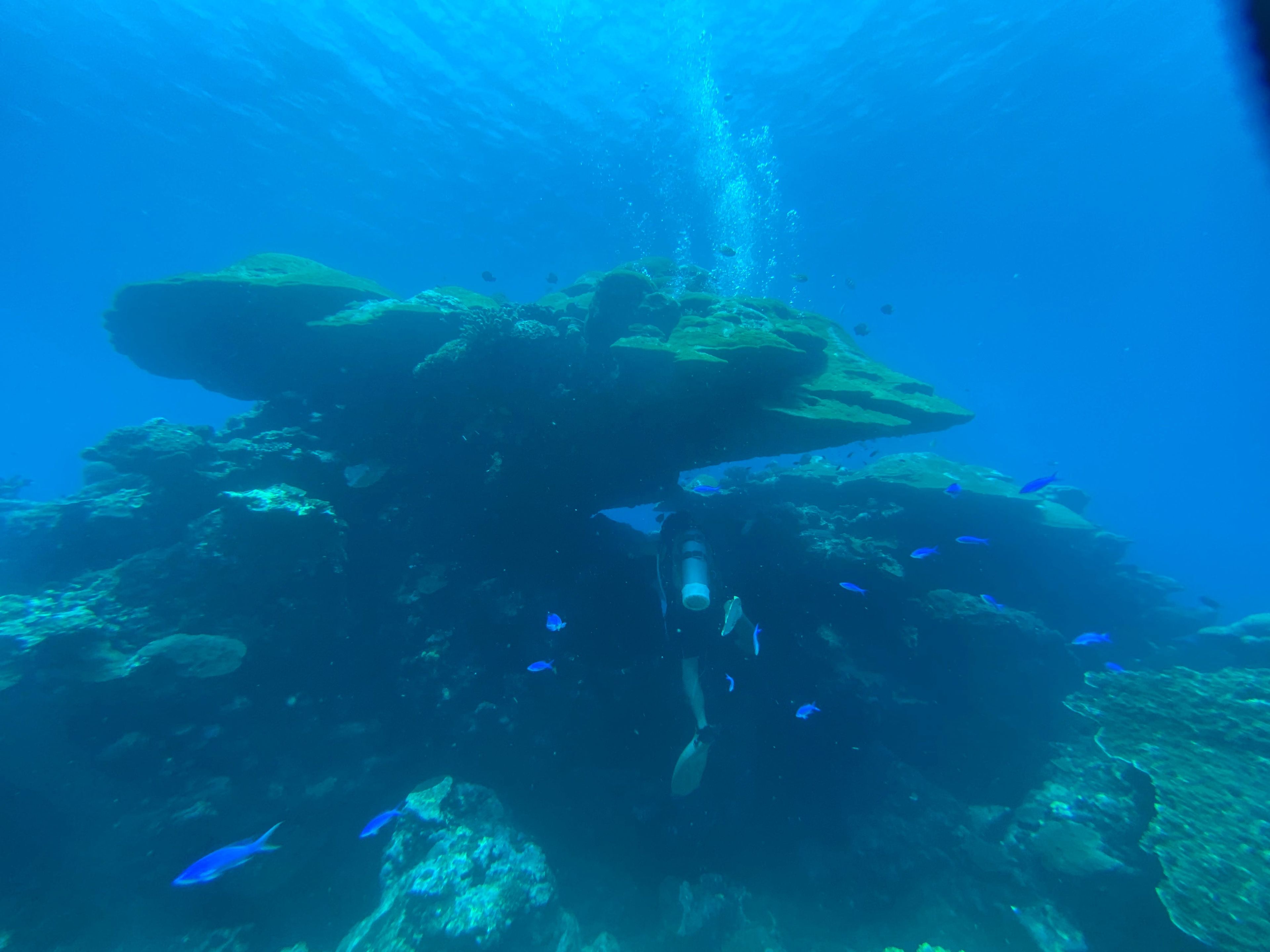 Oceanic+