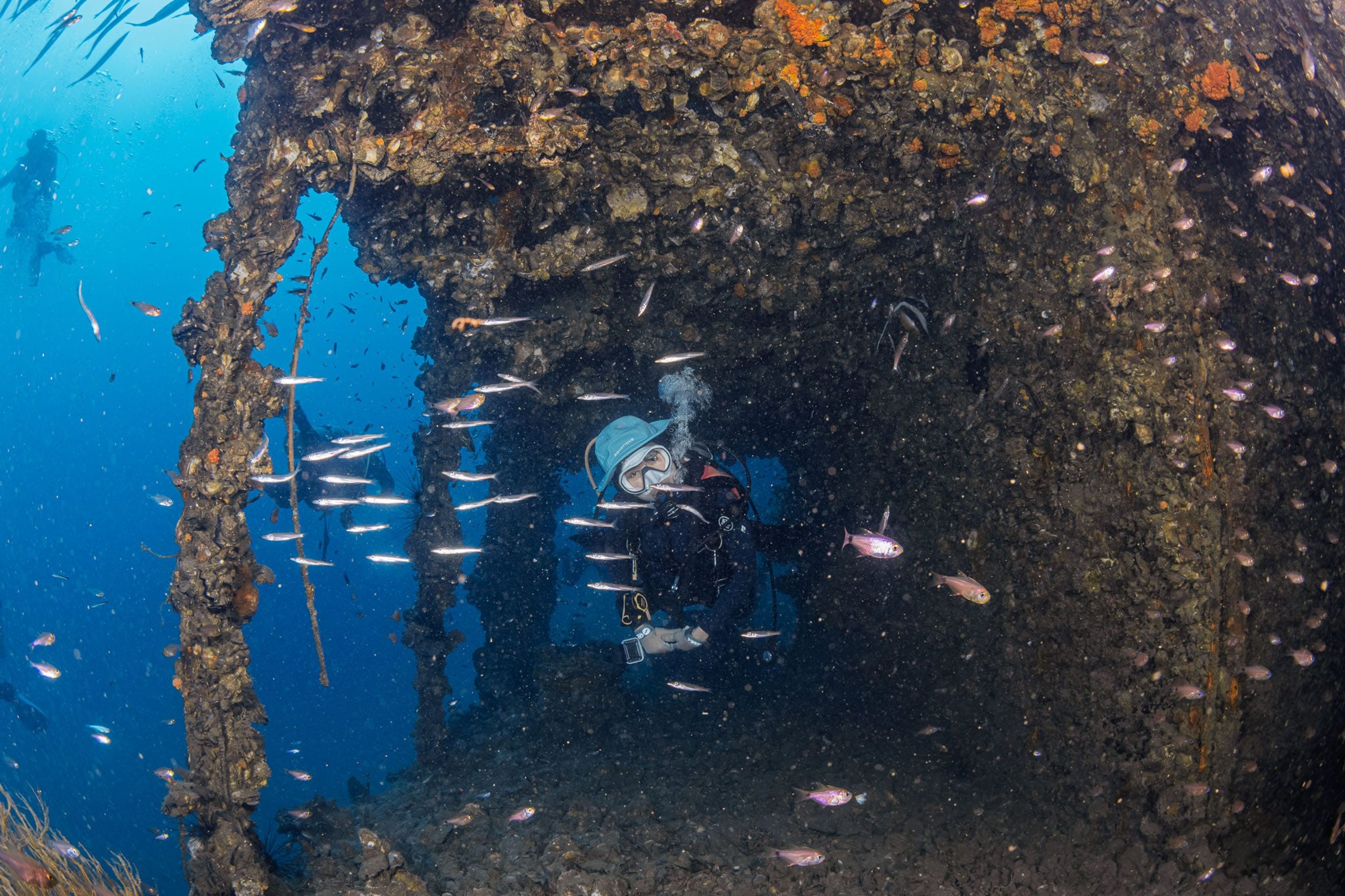 HTMS Chang wreck
