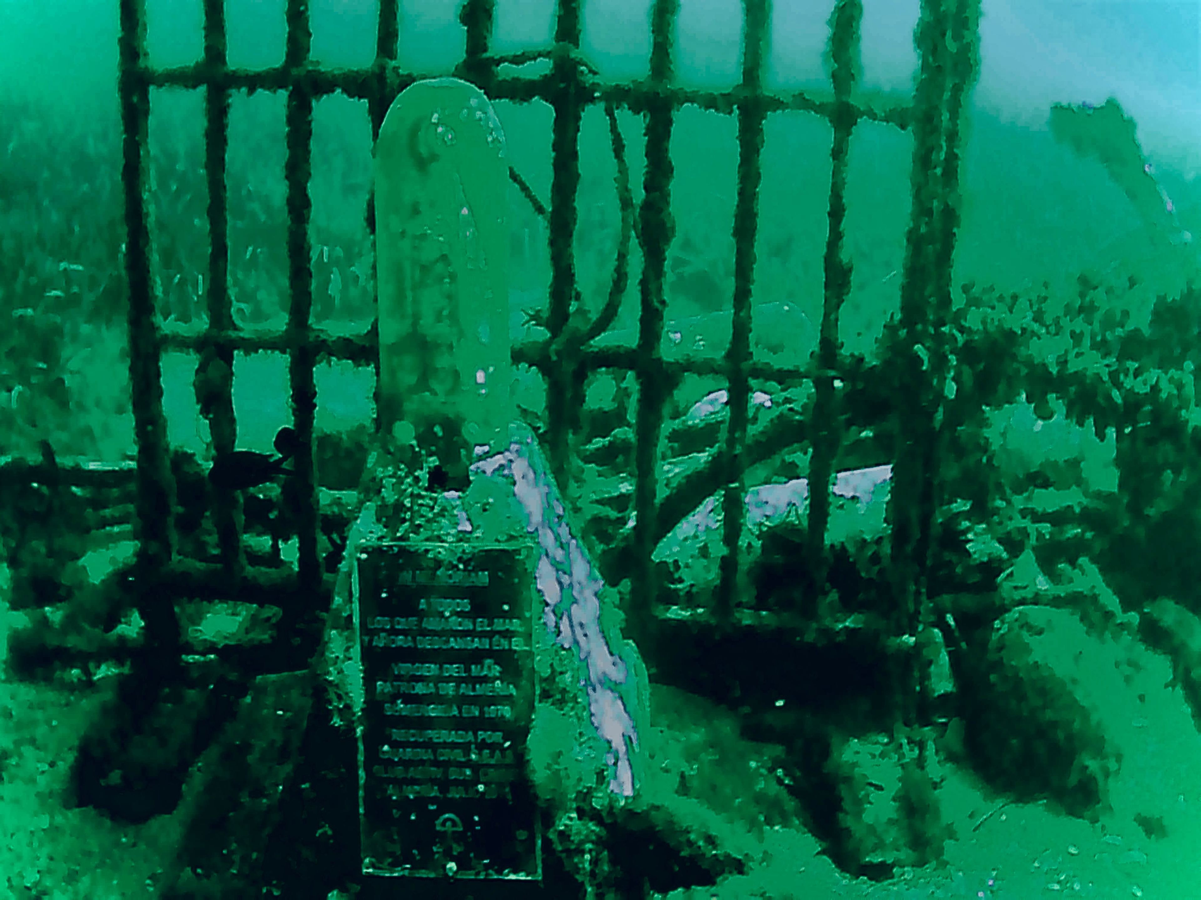 Scuba diving at Playa del Palmer