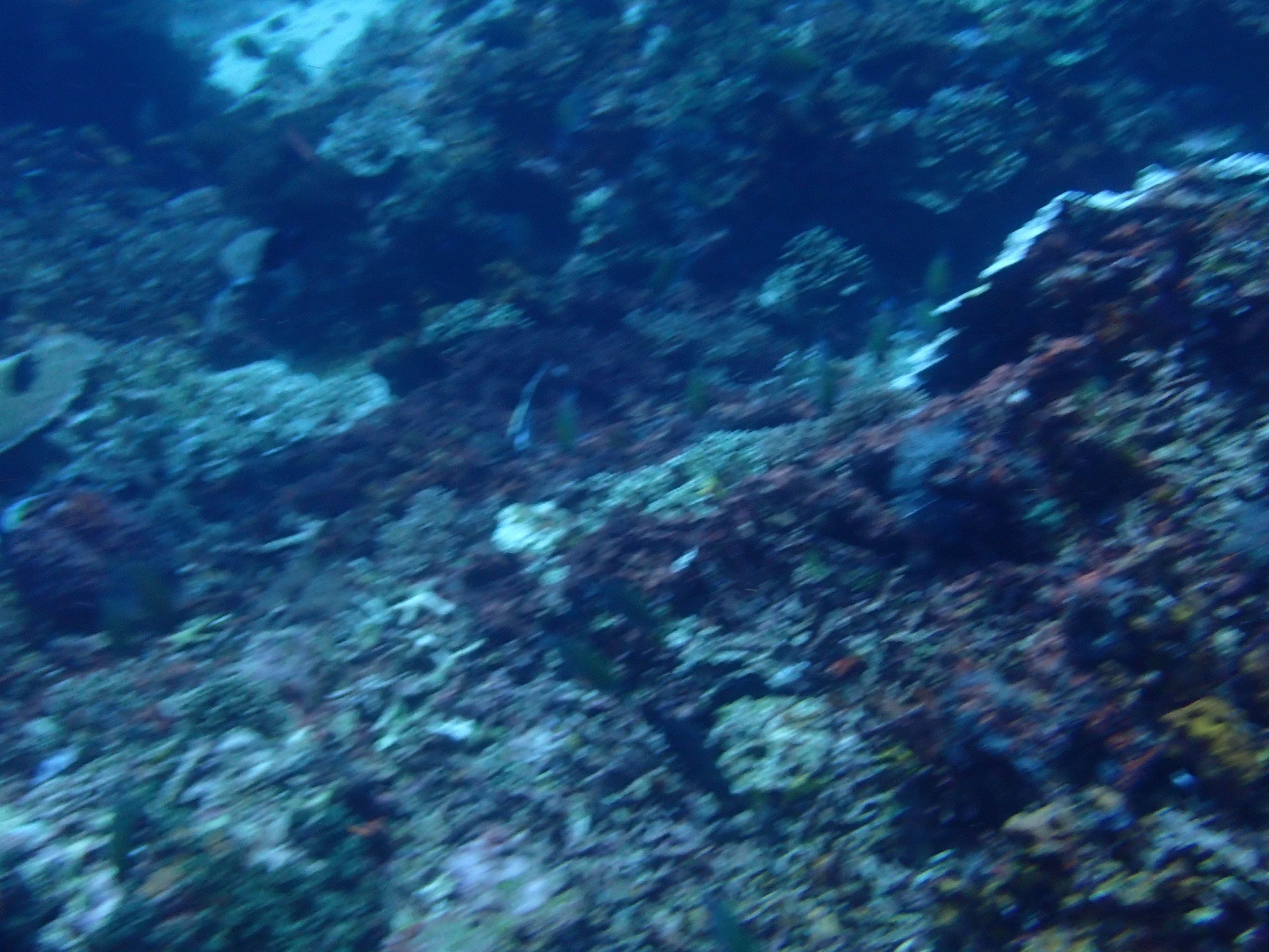 Oceanic+