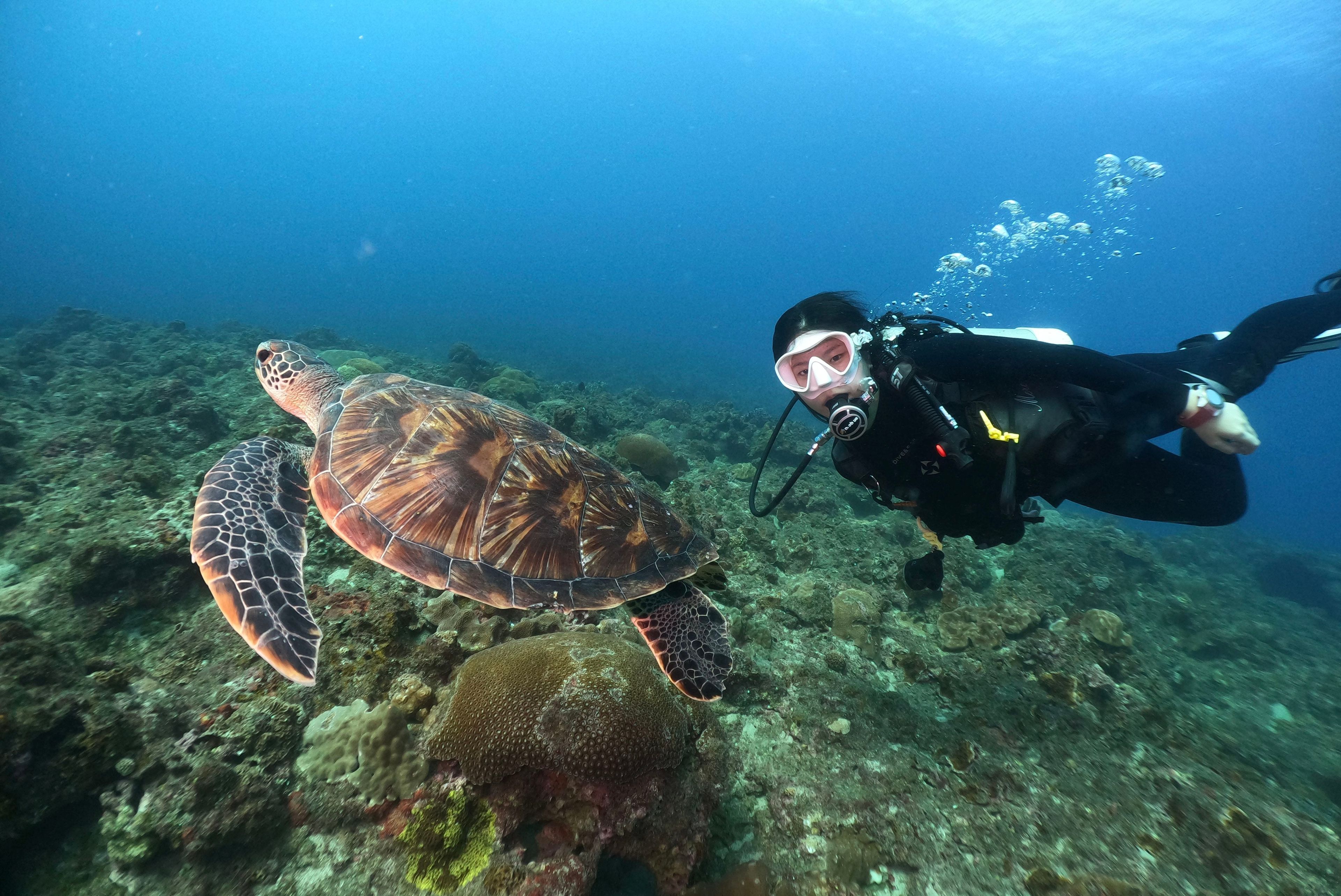Open Water 3