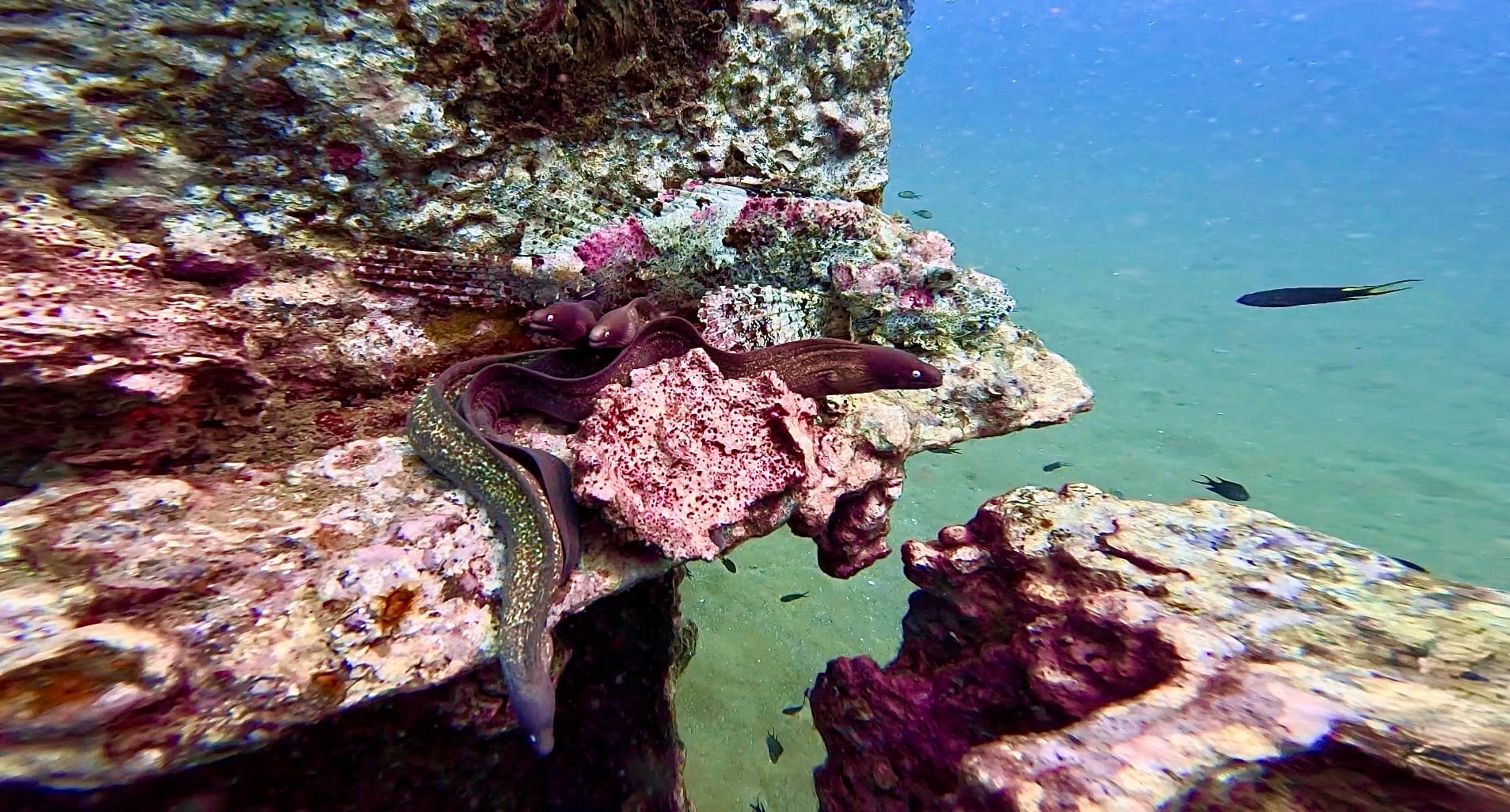Post at Boonsung Wreck