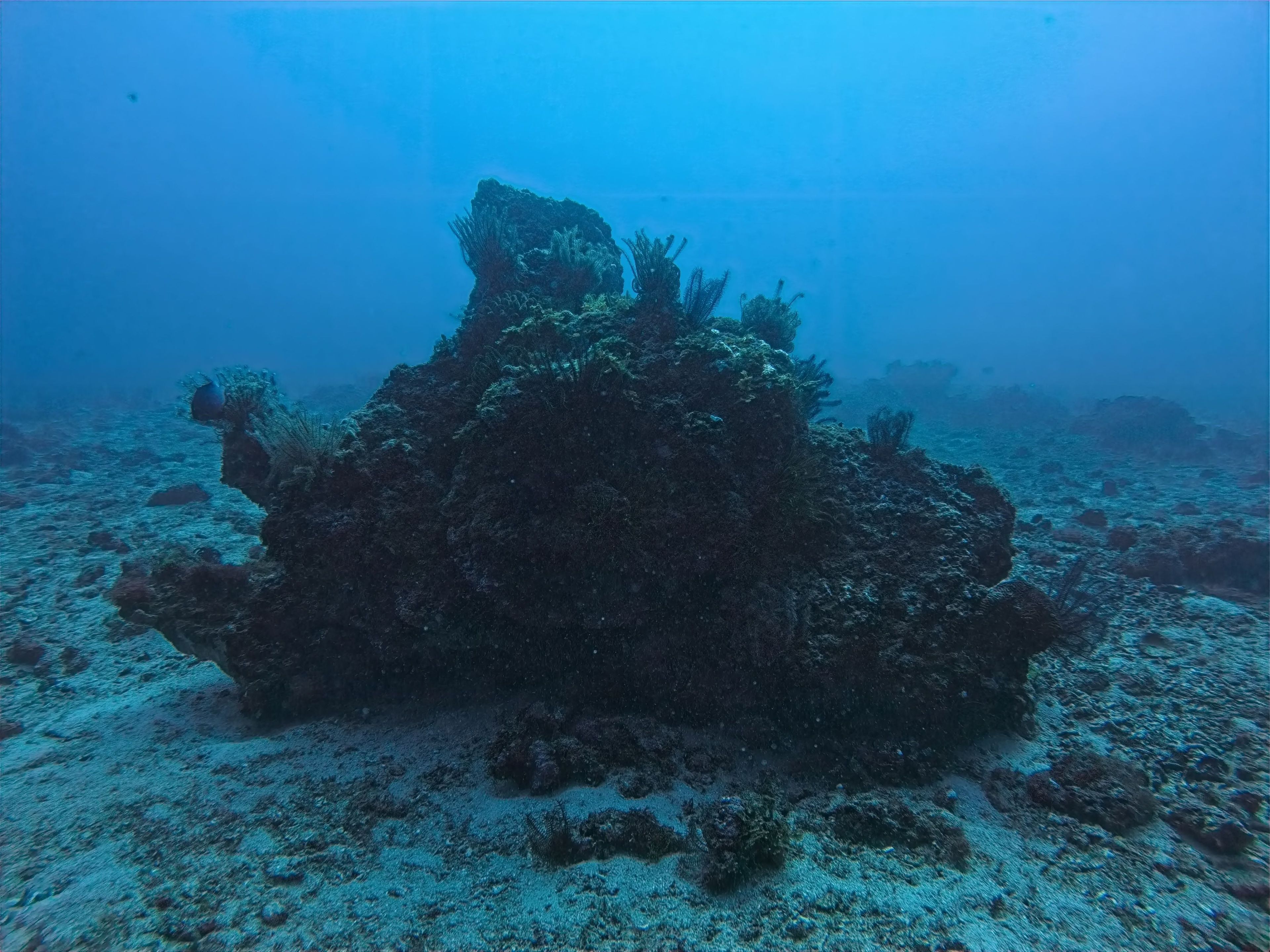 Oceanic+