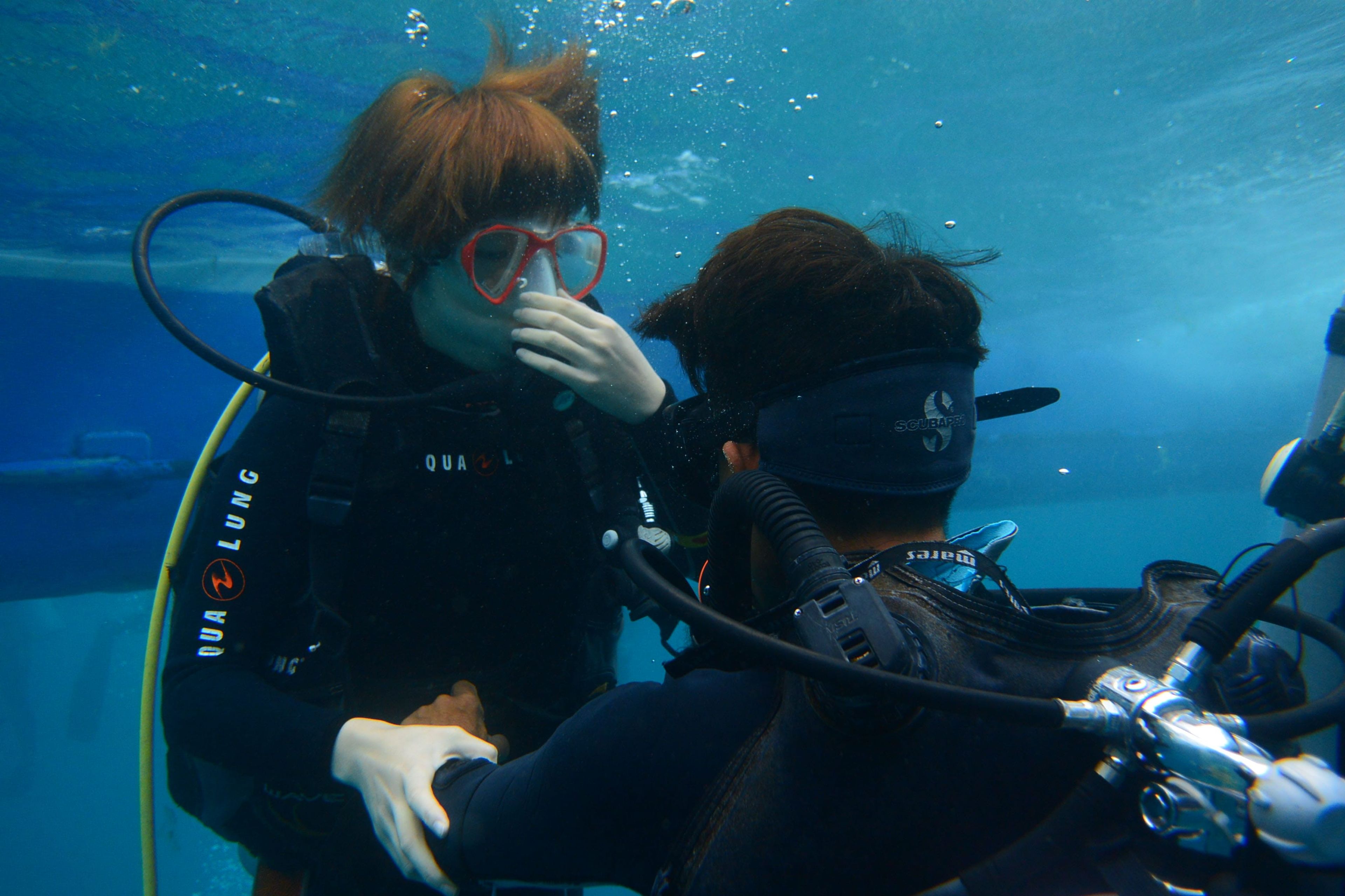Scuba diving at Coral Gardens
