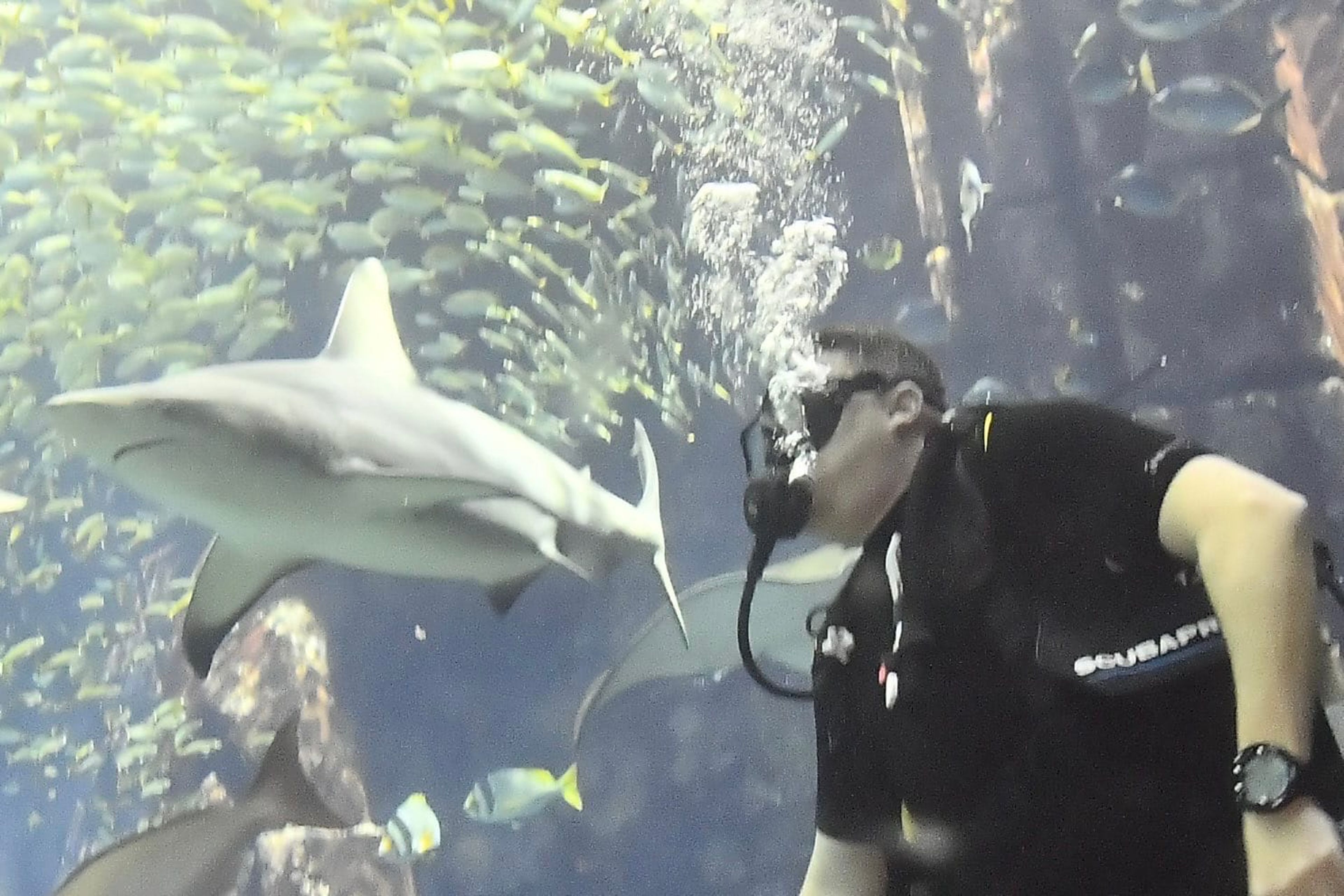 #9 Dubai Lost chambers aquarium