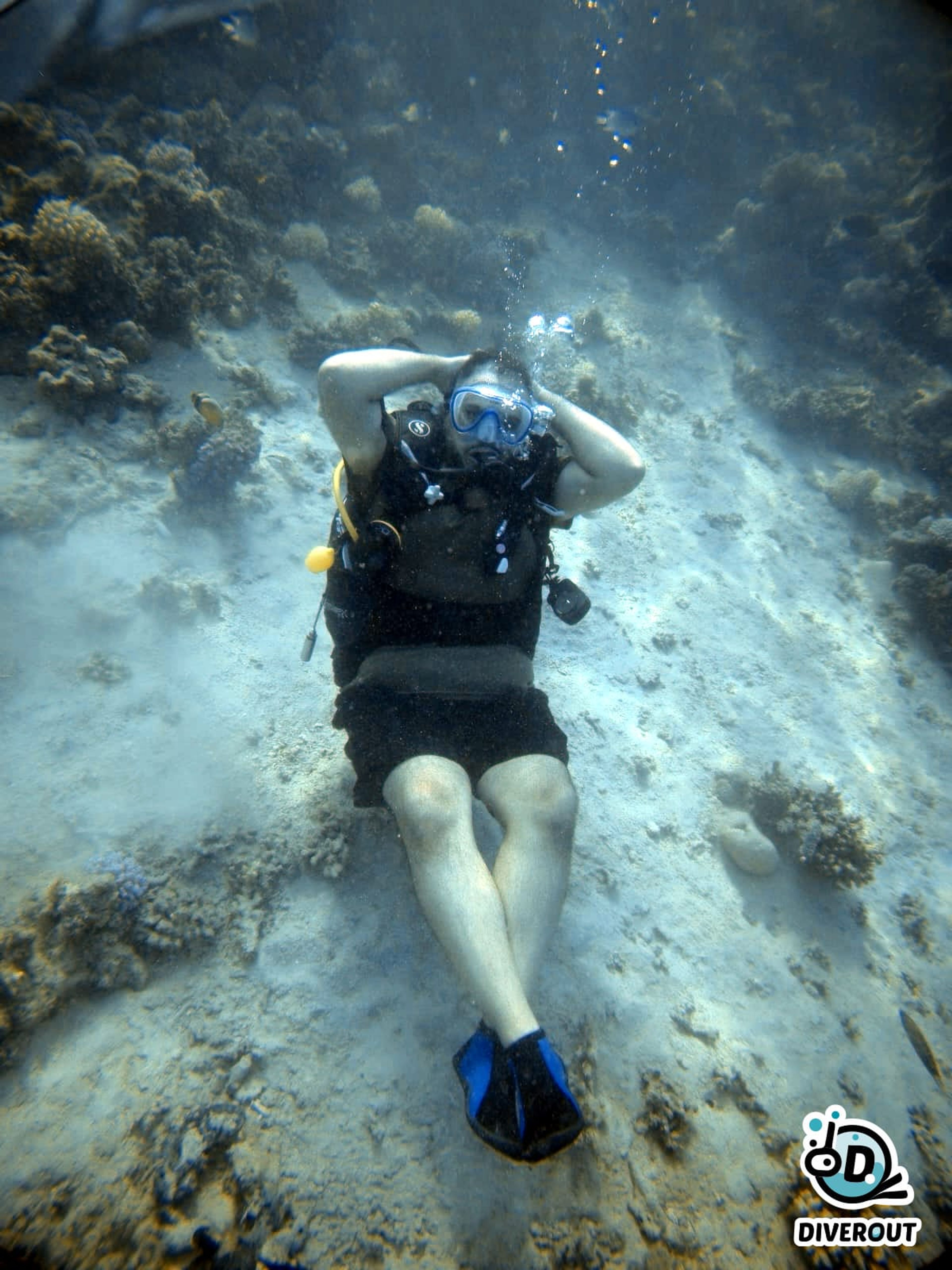Sultan Saeedi's dive log