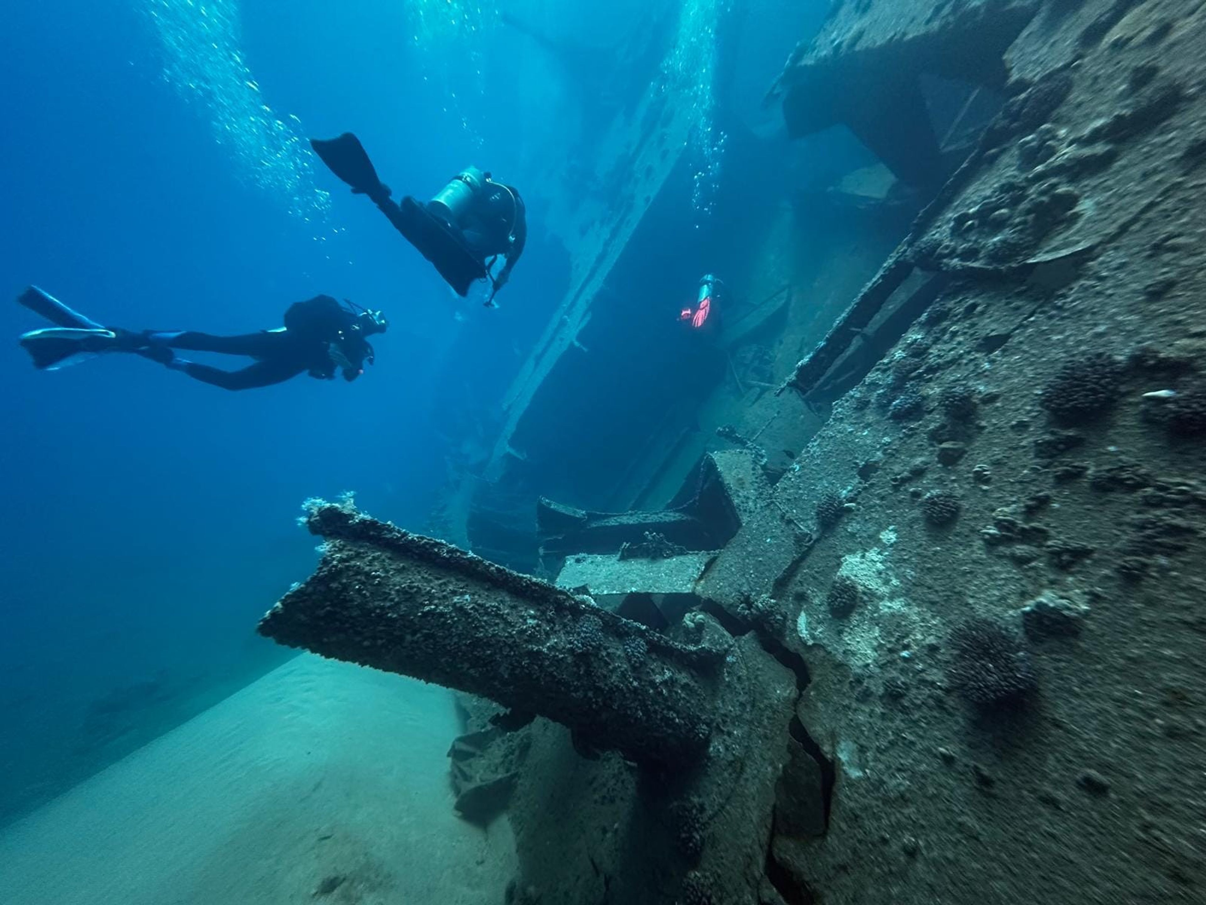 Scubaist's dive log
