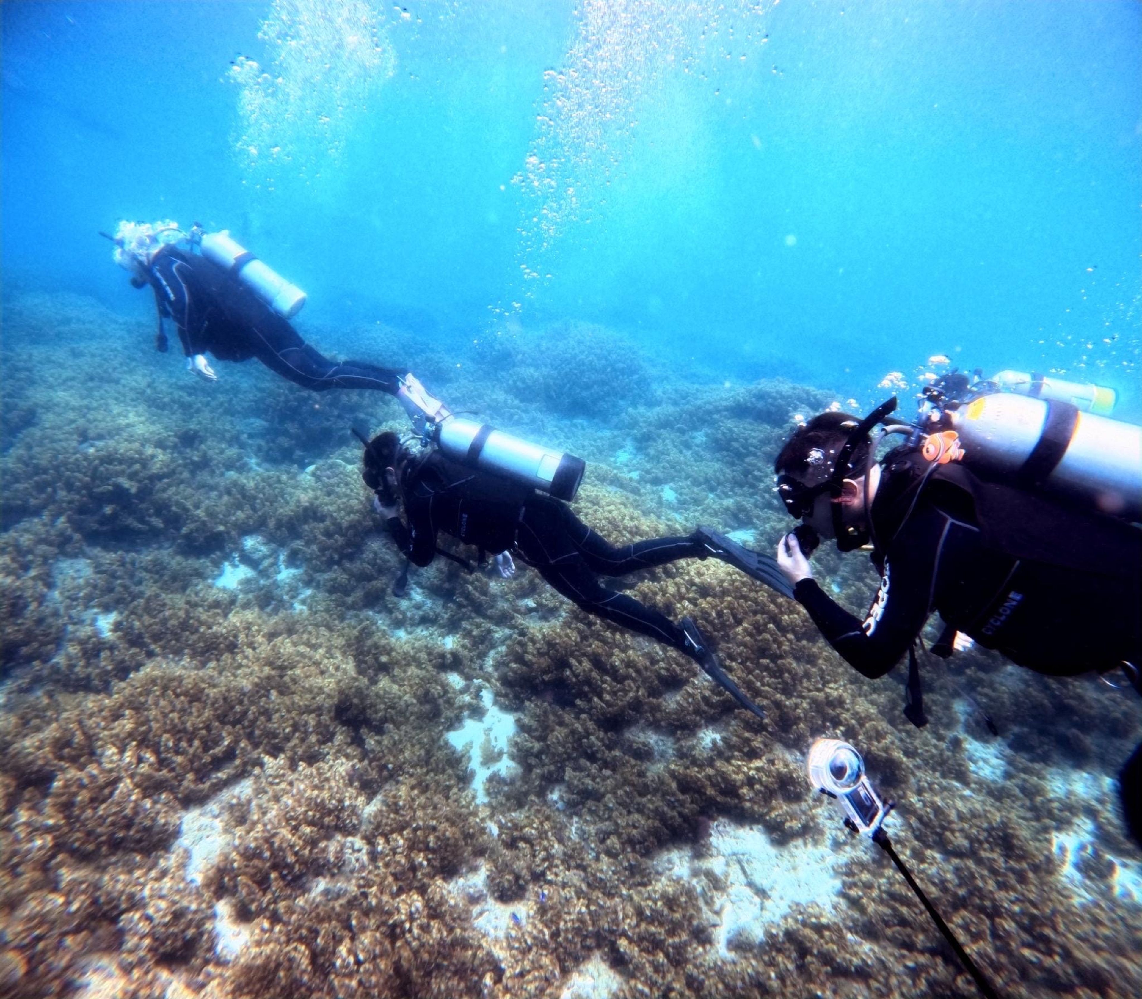 Scuba diving at 大福