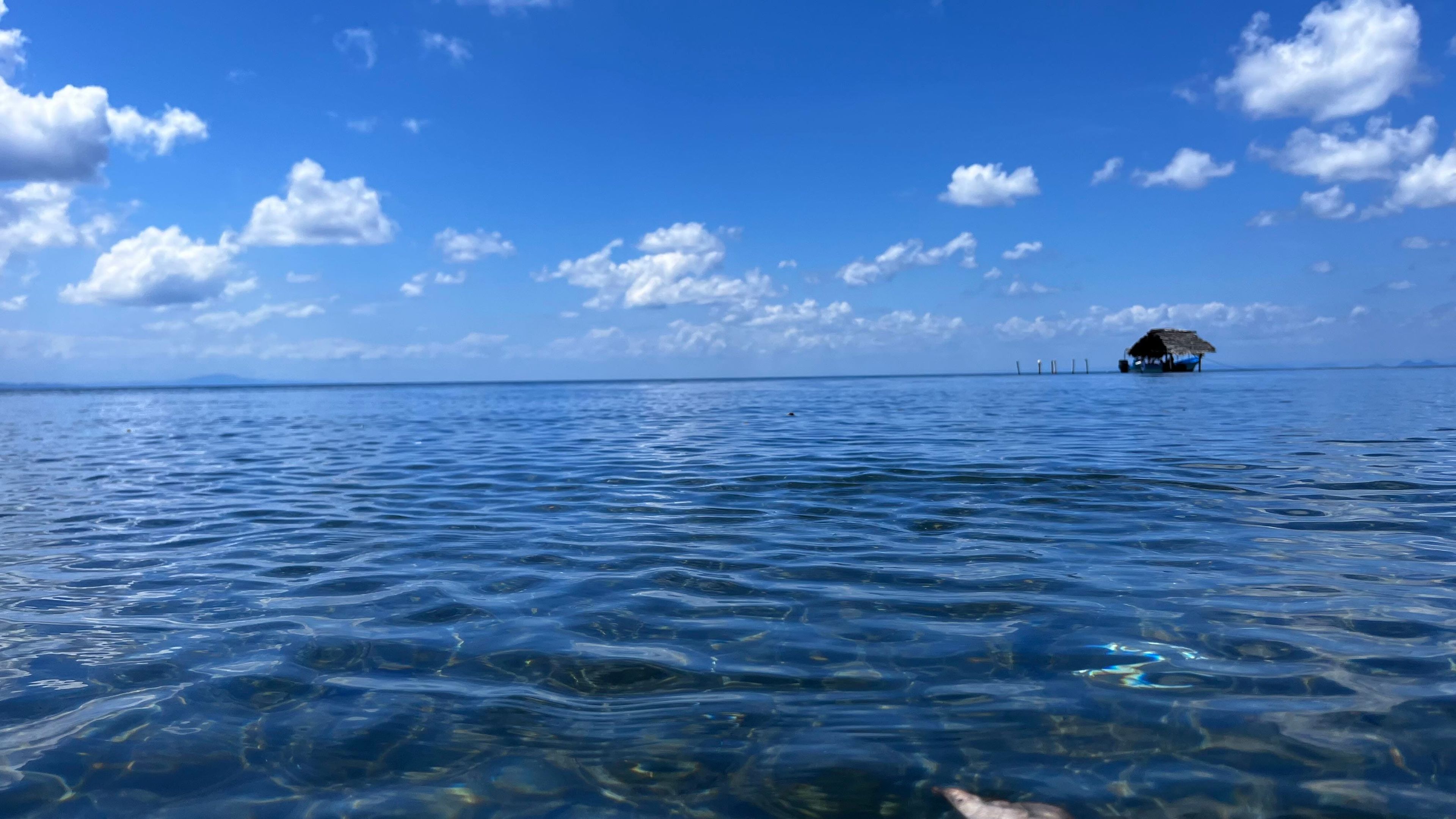 Jacobo Guerra's dive log
