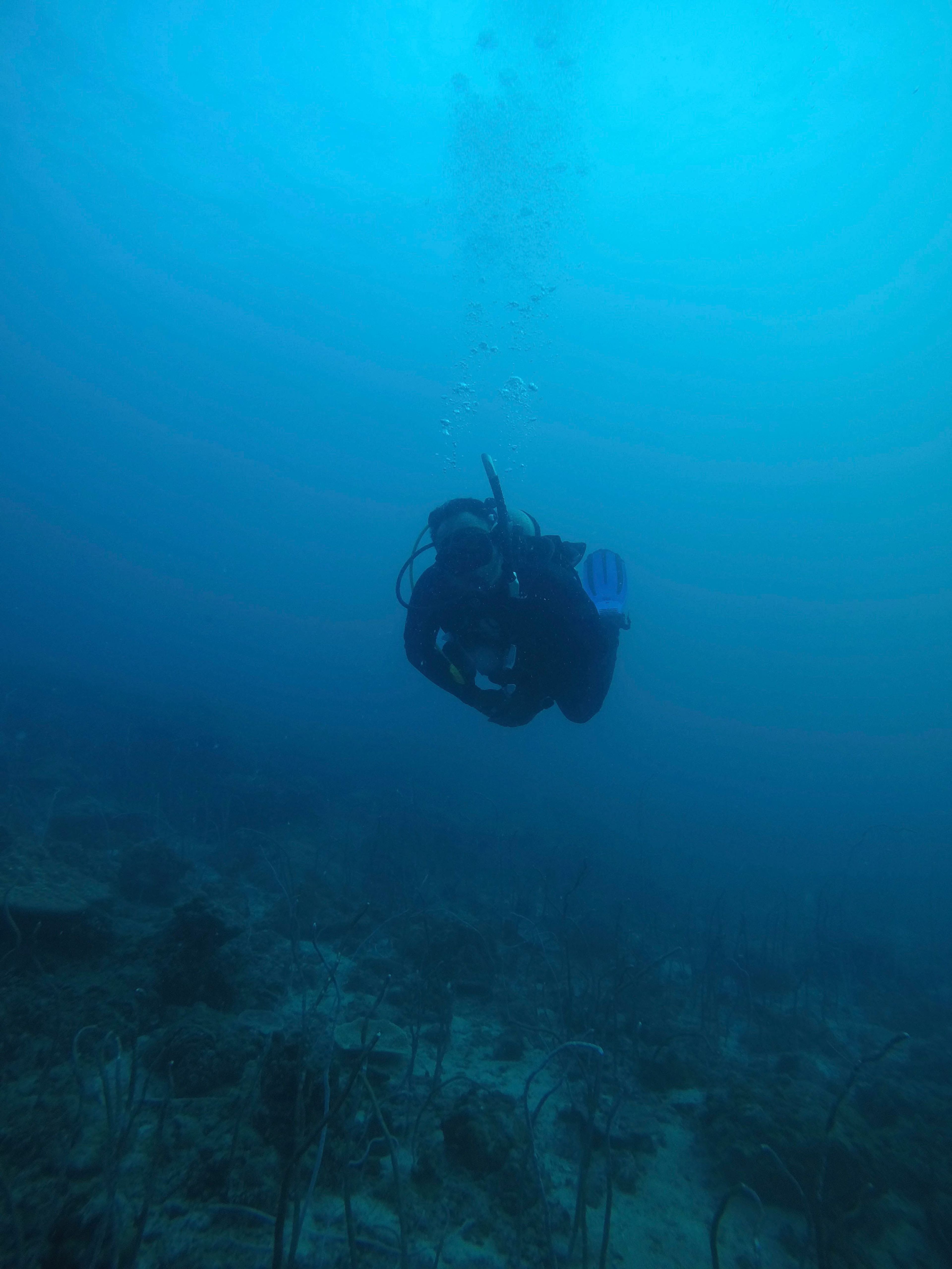 Oceanic+