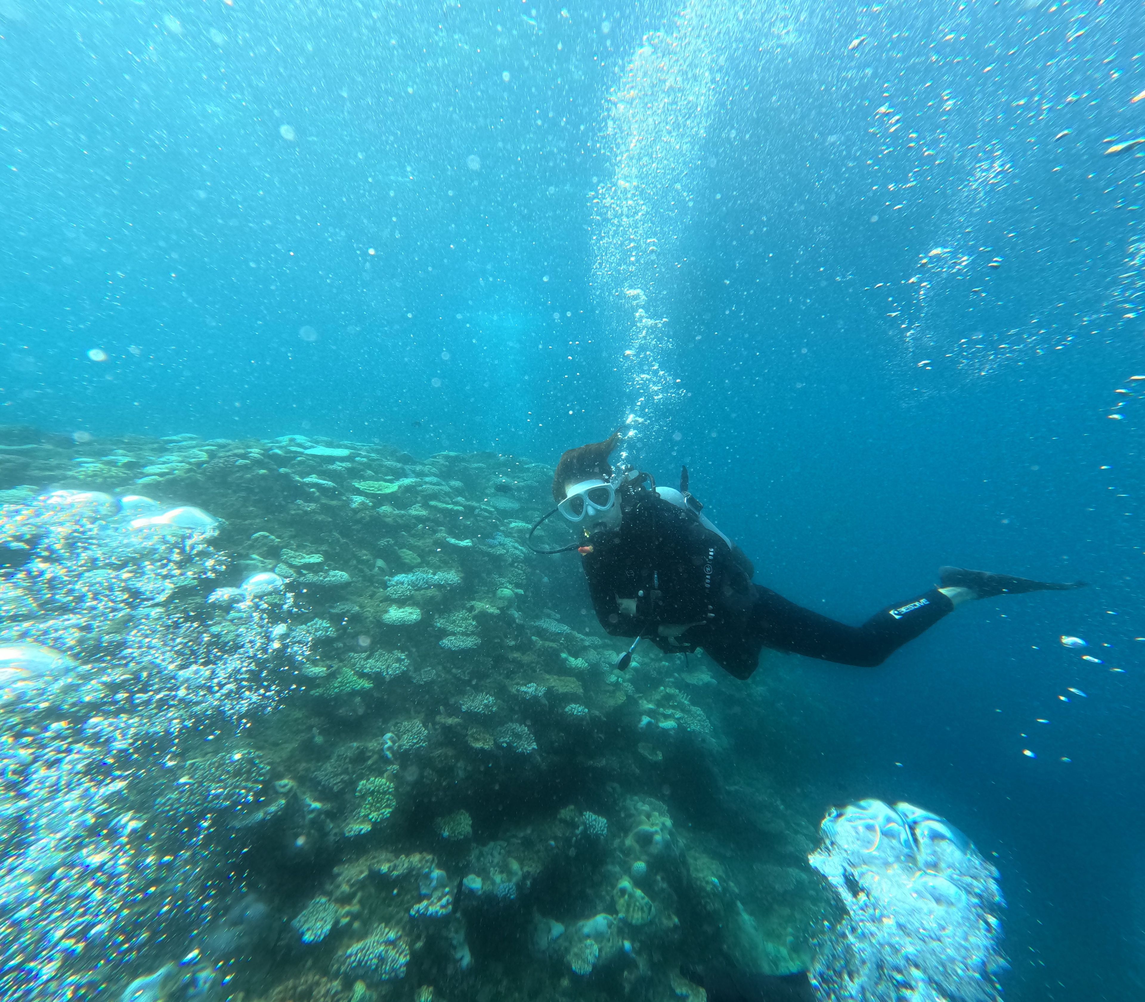 Oceanic+