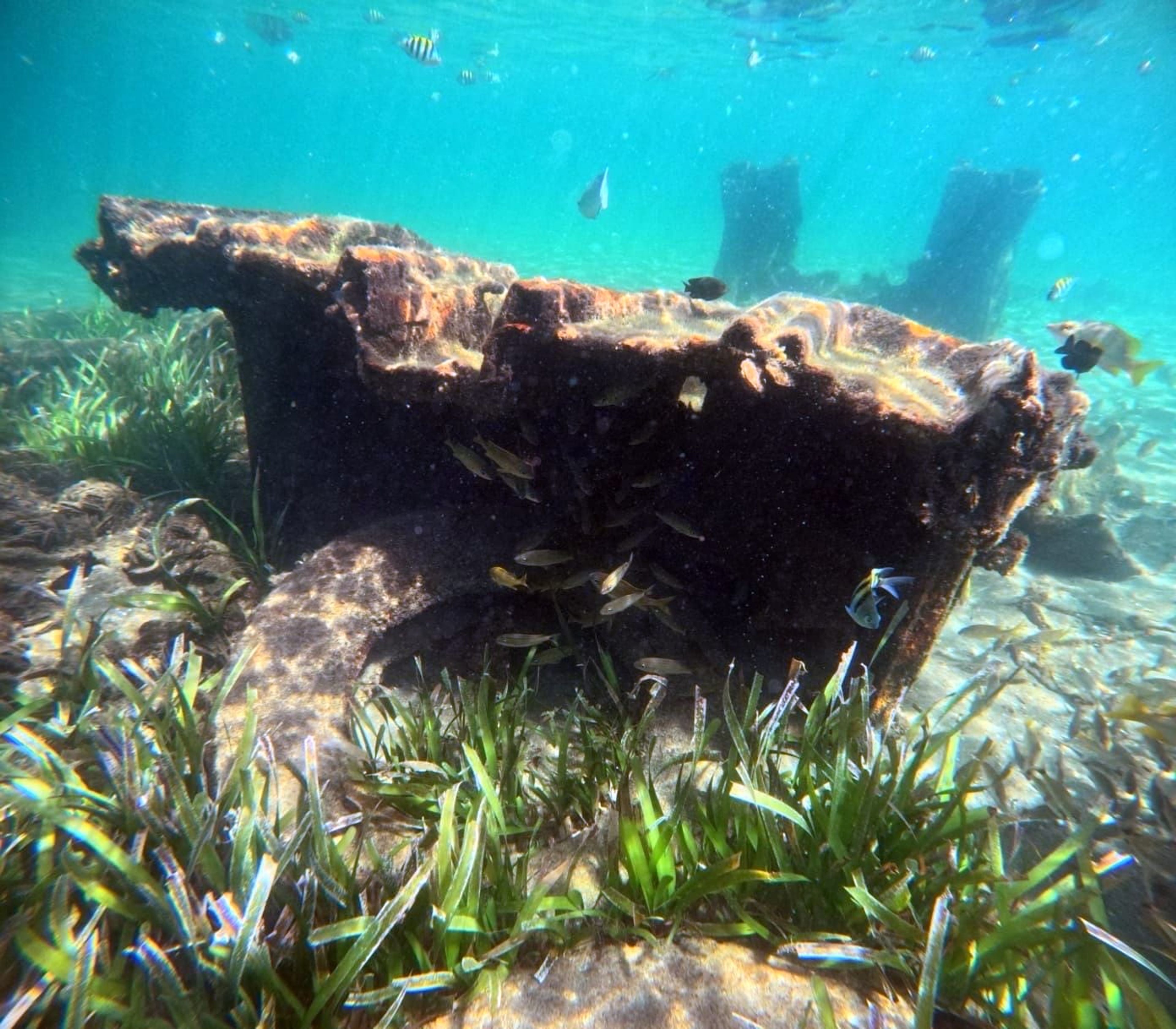 Jacobo Guerra's dive log