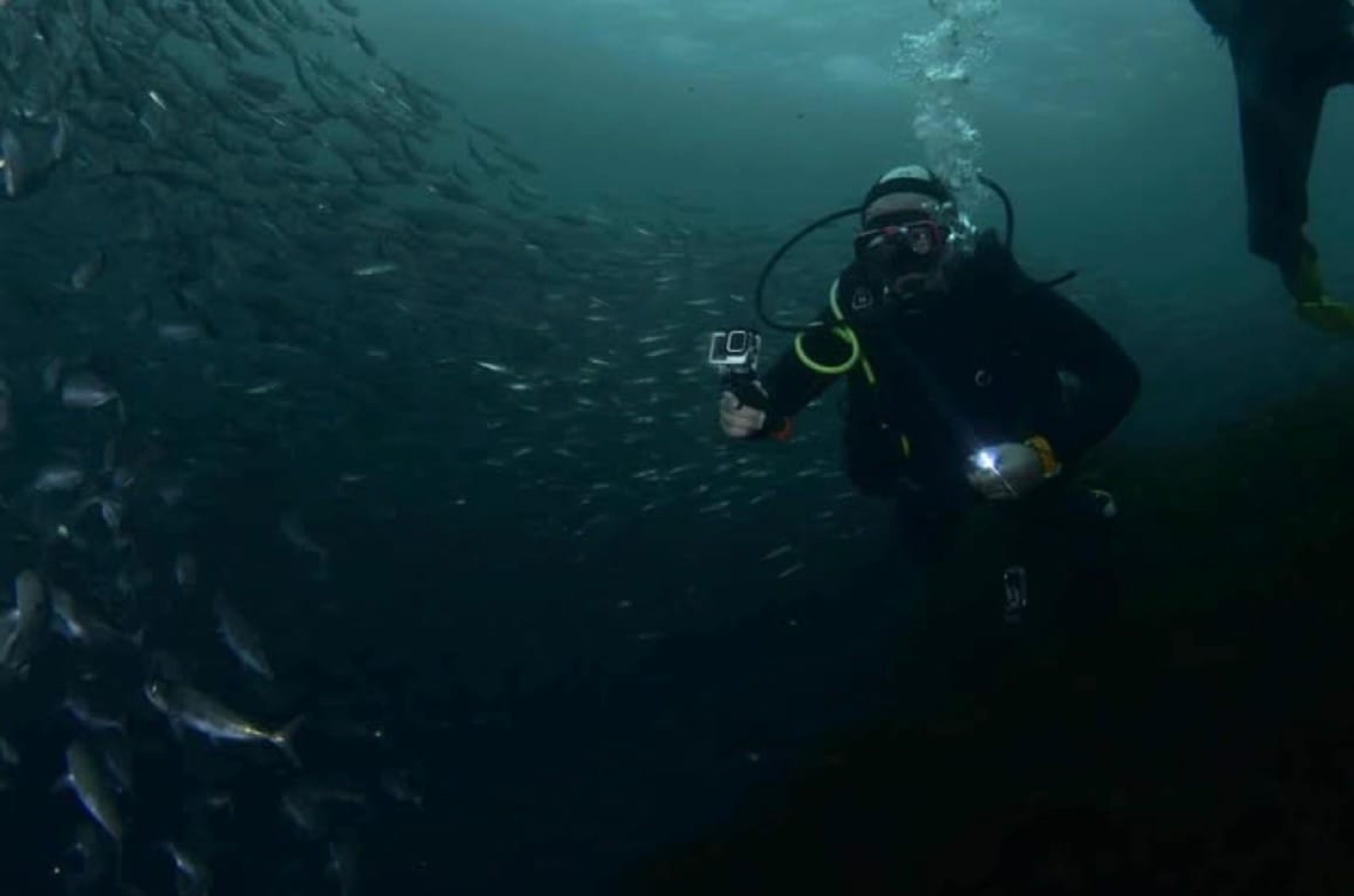 Jon Usabiaga's dive log