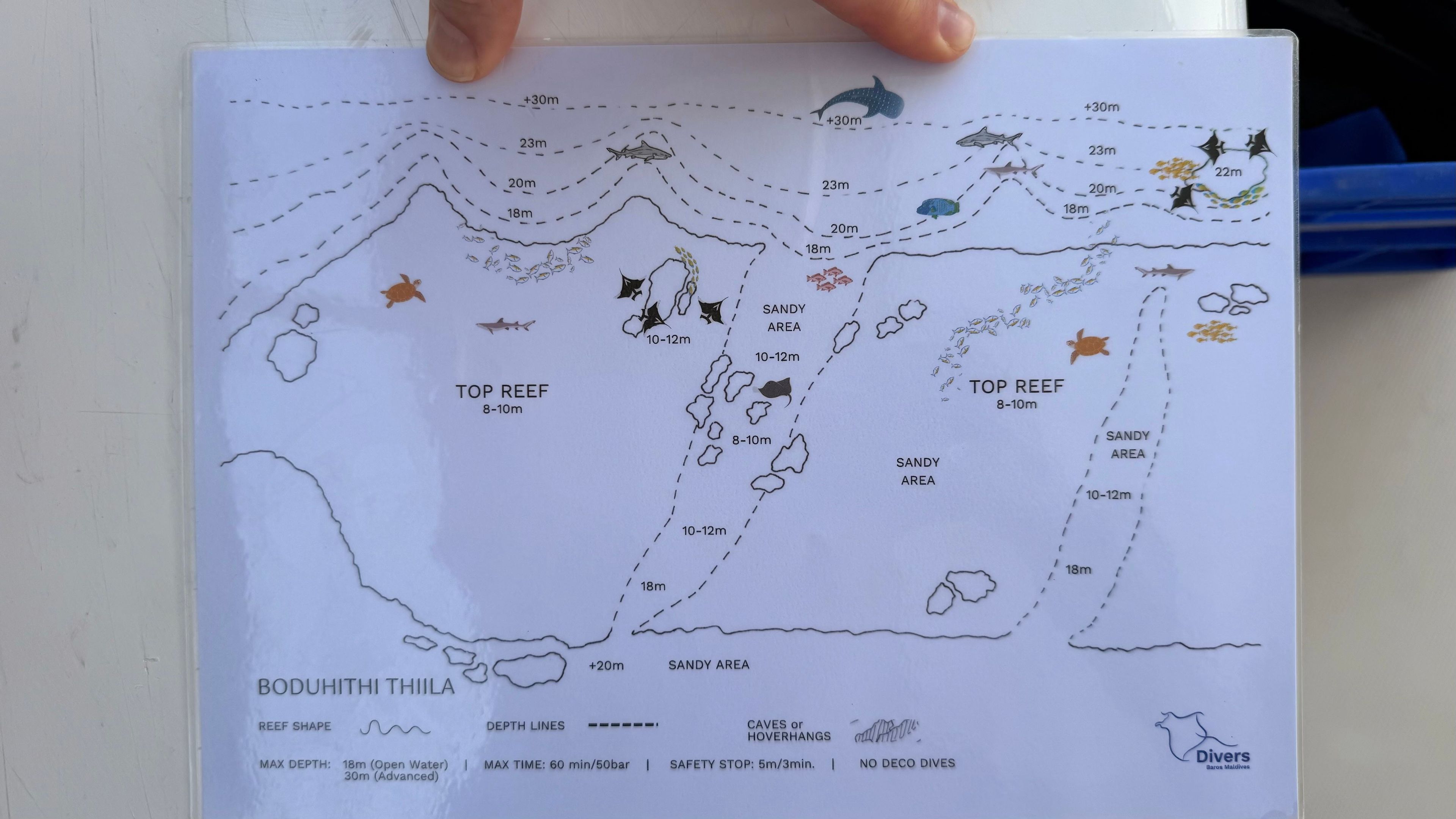Scuba diving at Boduhiiti Thiila