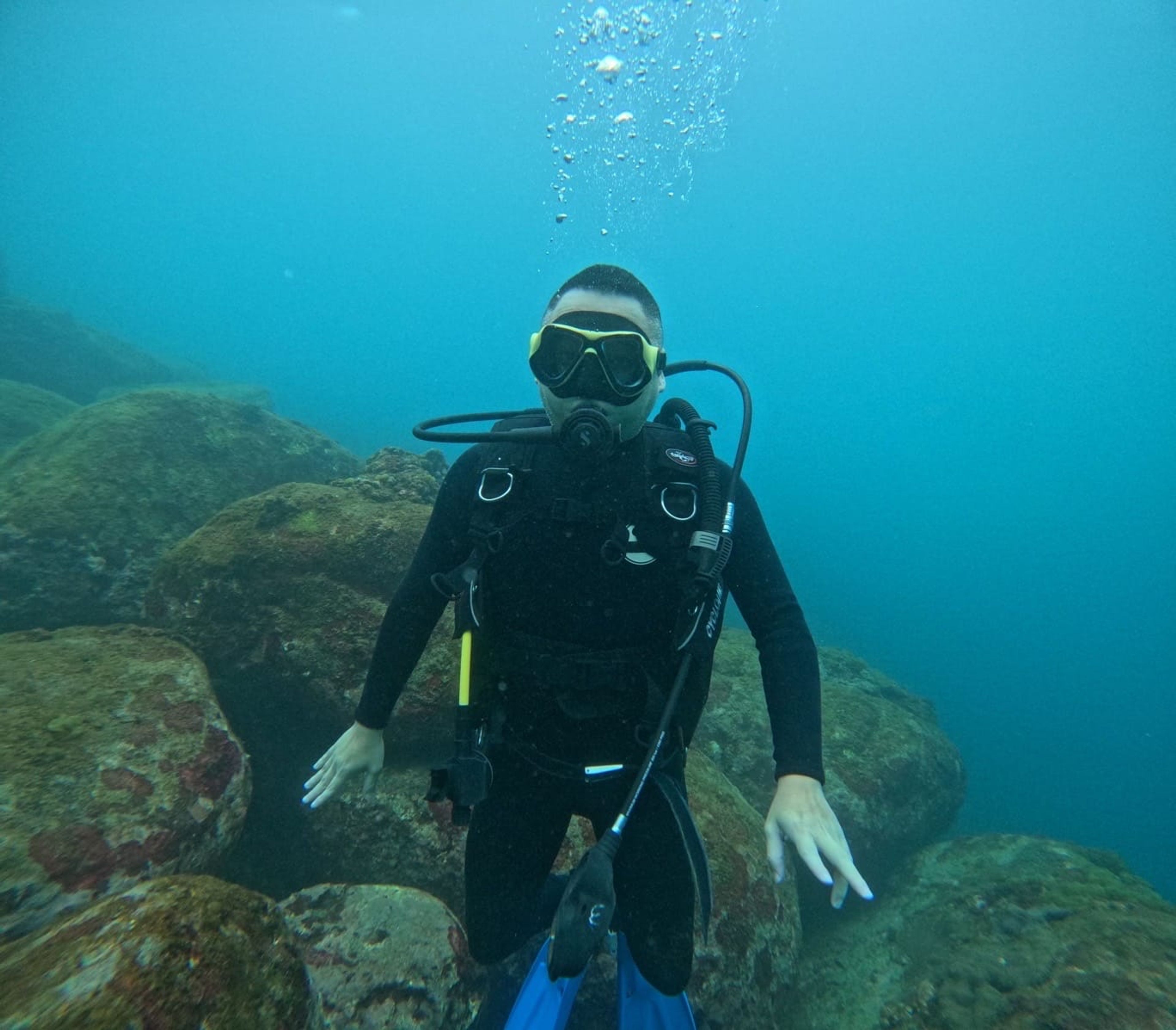 Scuba diving at 龍洞灣4號潛點-和美國小