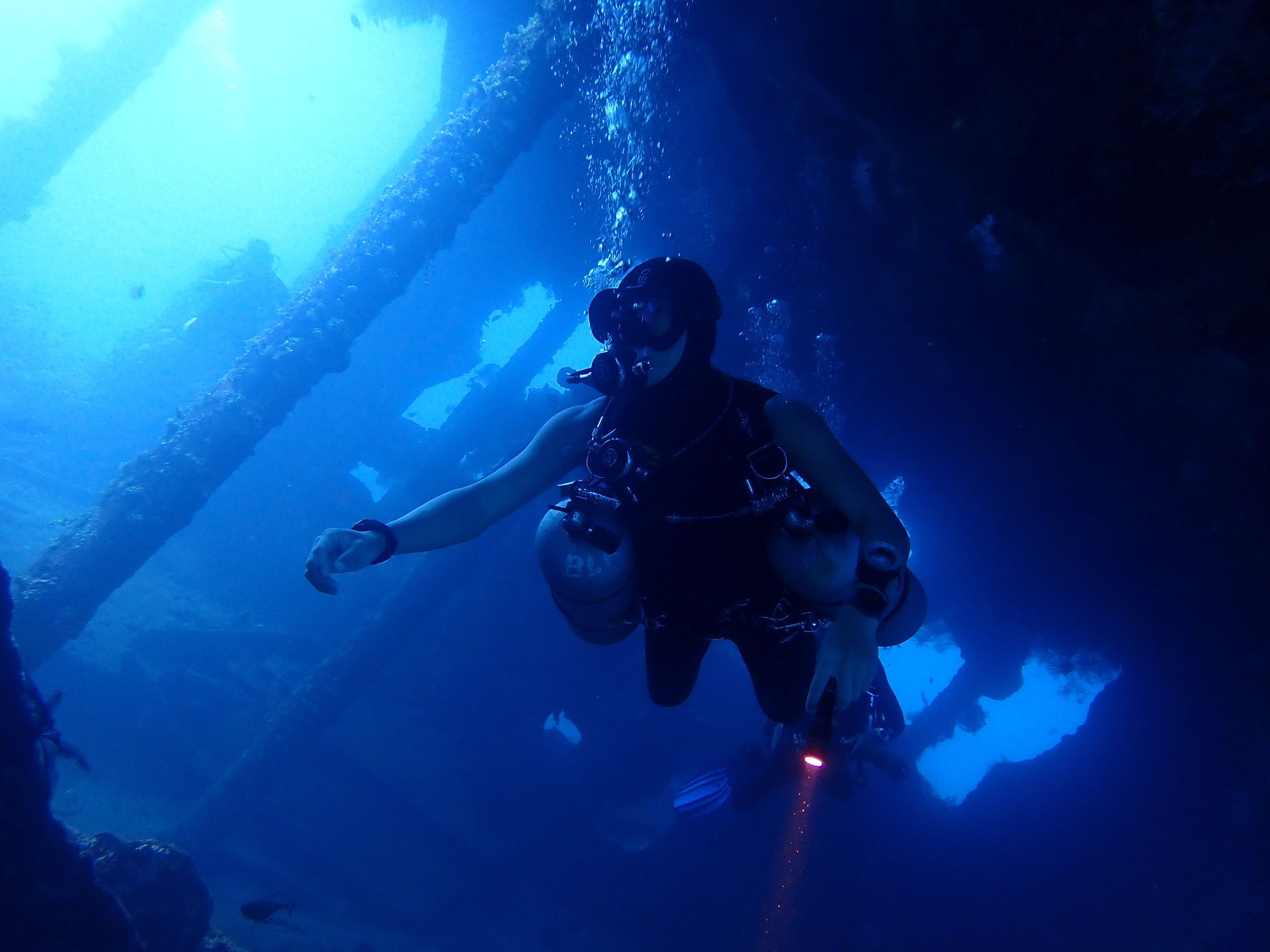 浲浥 林's dive log