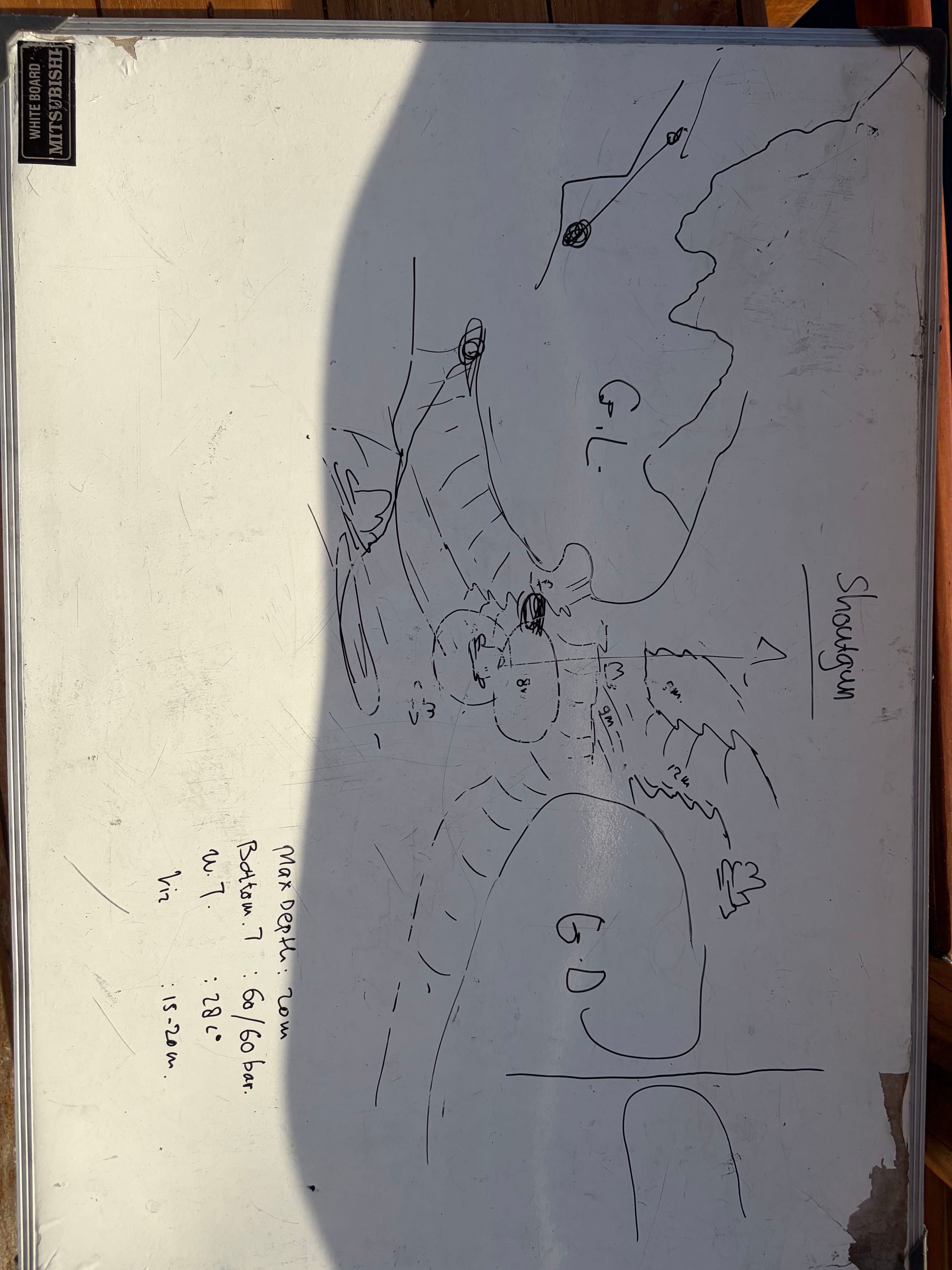 Zixiong Guo's dive log