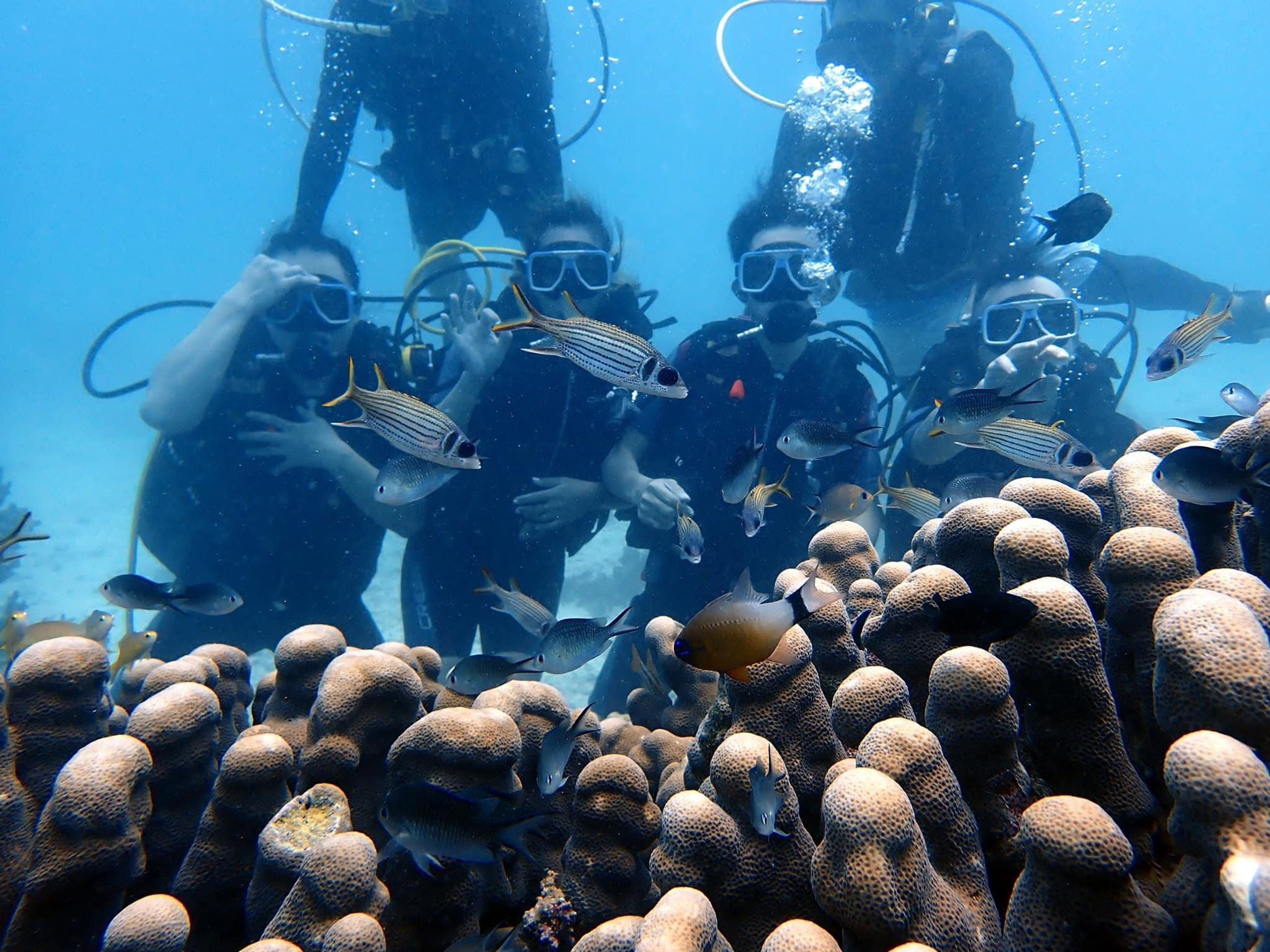 Scuba Diving