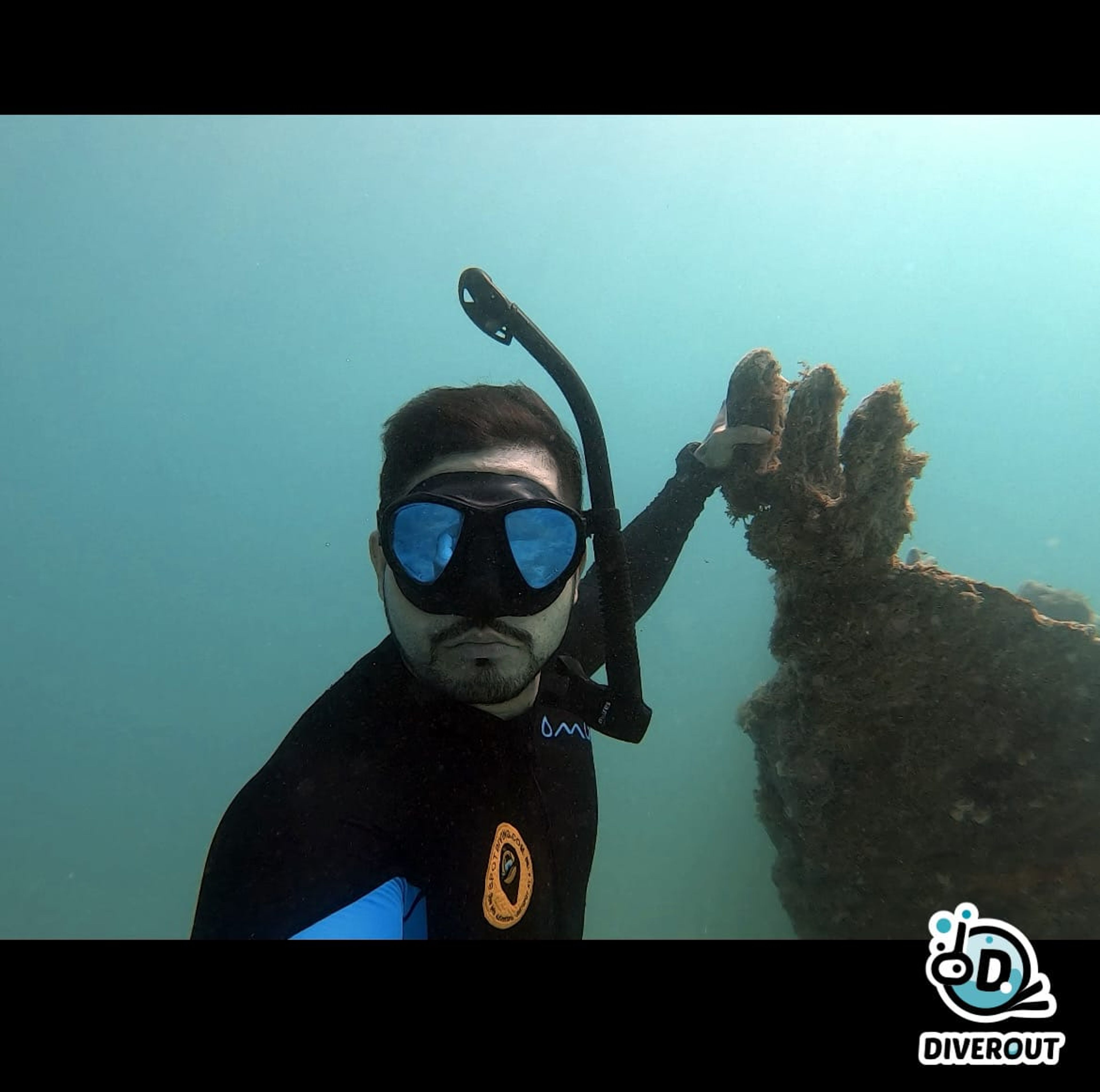 Spot Diving's dive log