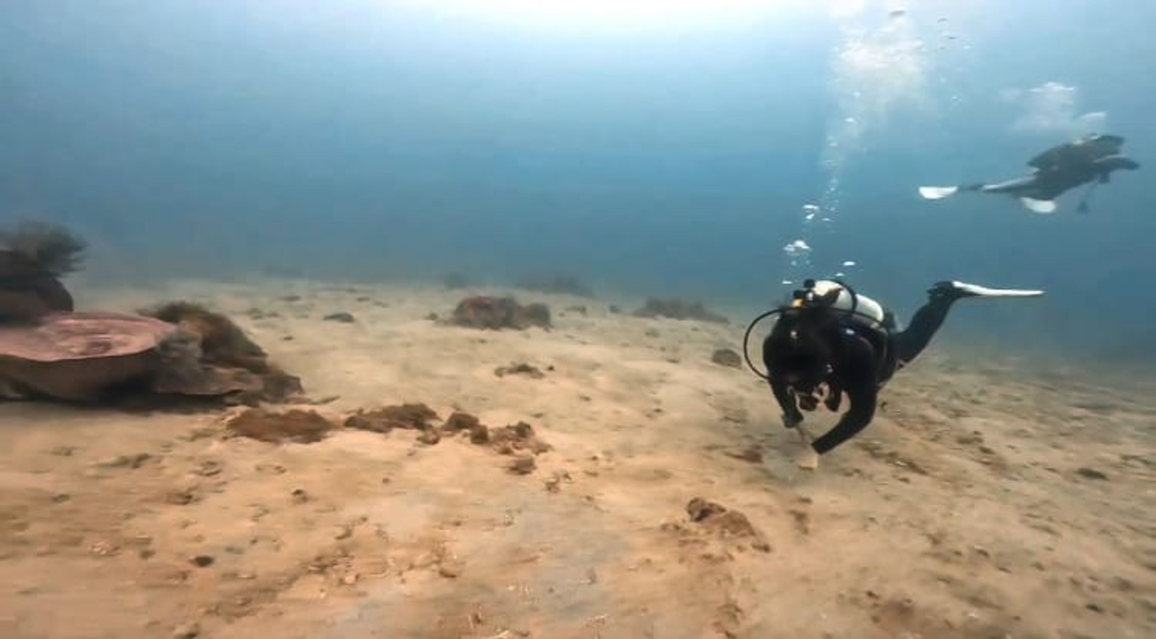 Scuba diving at 大福