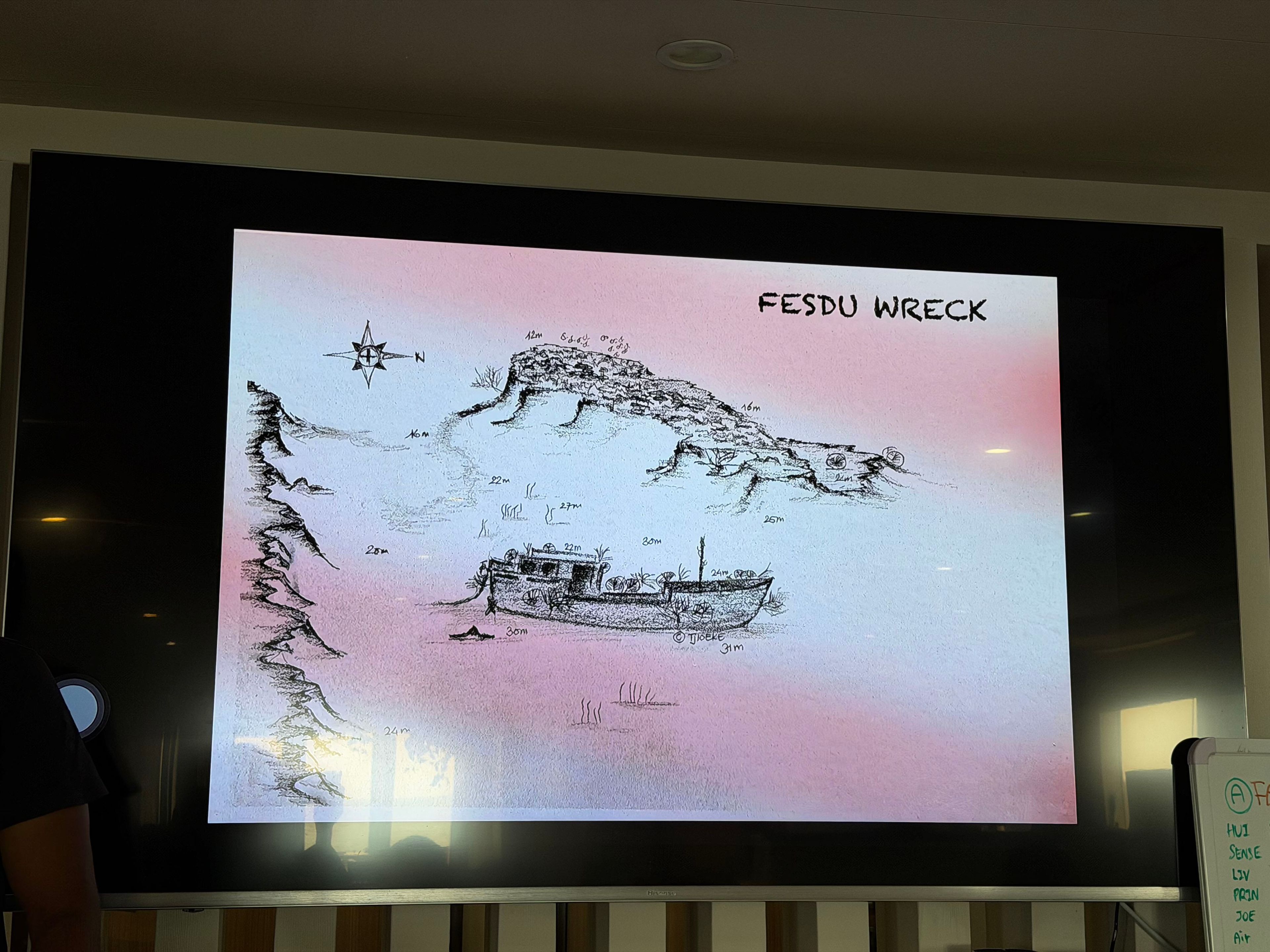 马尔代夫四方线Fesdu Wreck